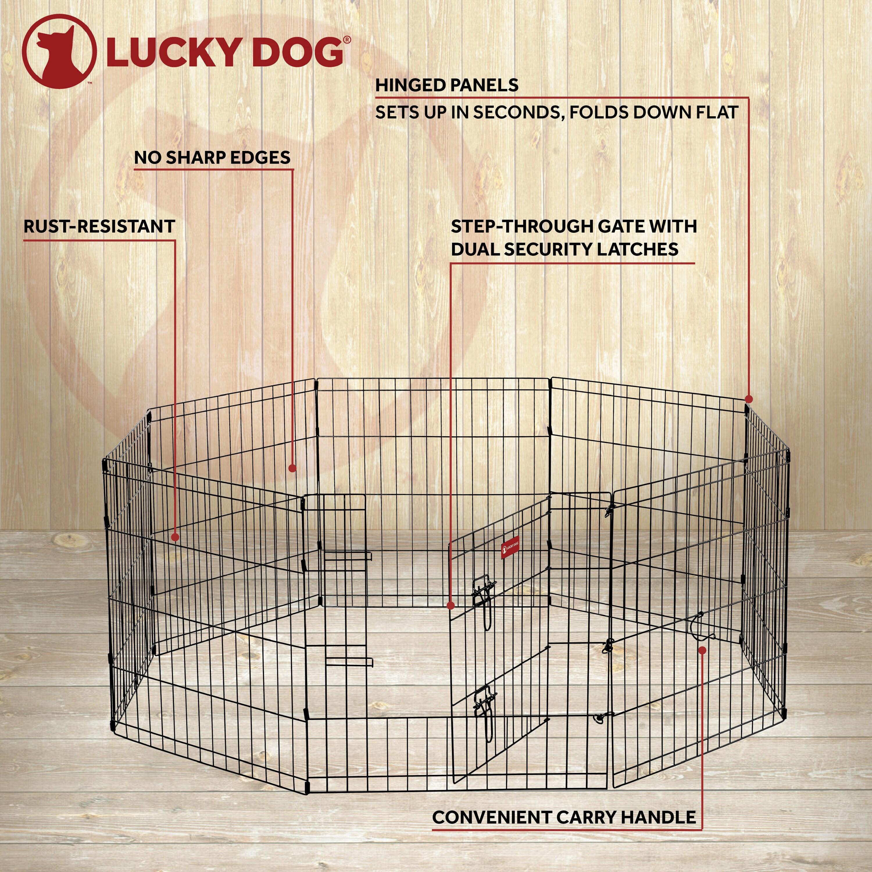 Foldable Metal Exercise Pet Play Pen for Dogs, Chickens, Rabbits and more