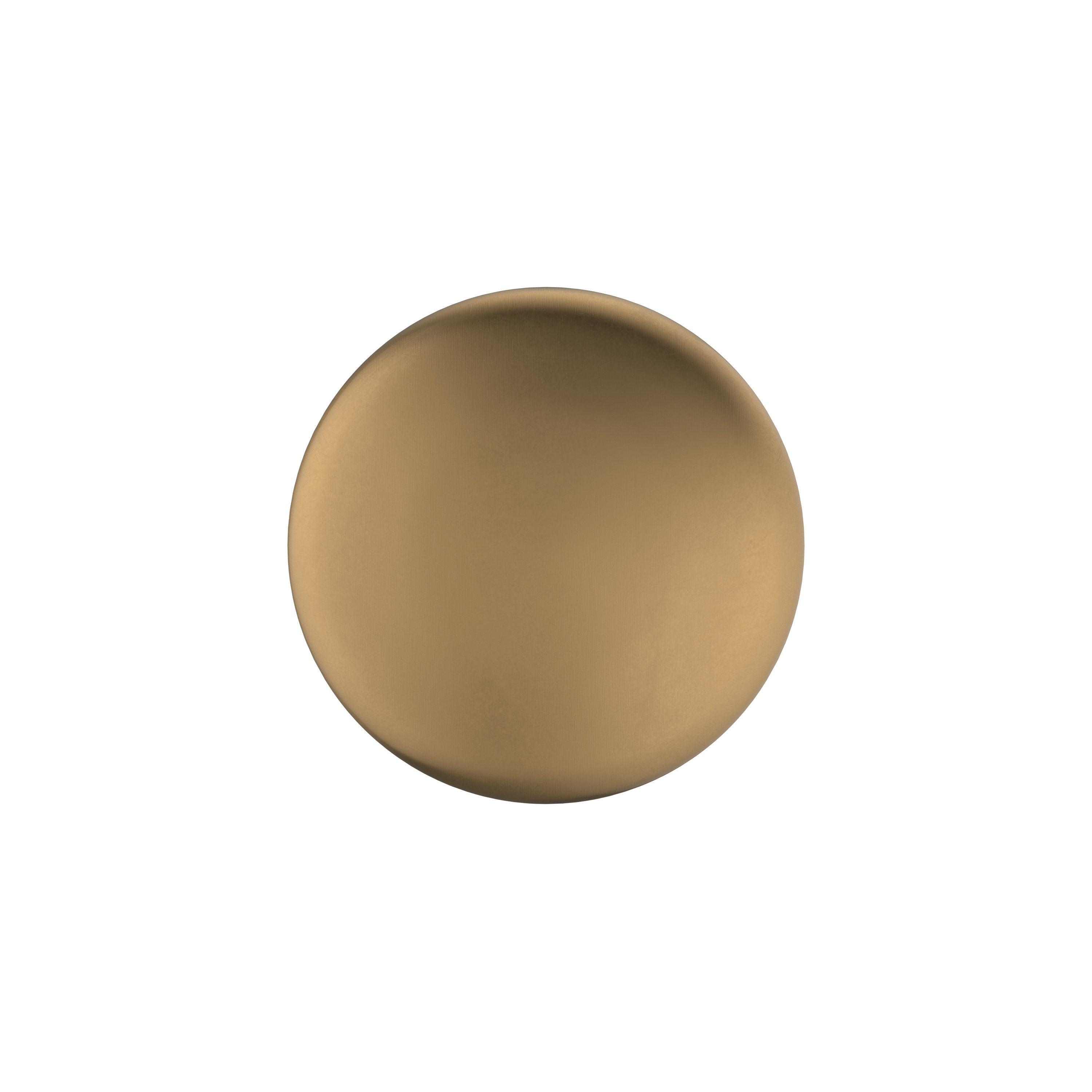 Amerock Edona 1-1/4 inch (32mm) Diameter Champagne Bronze Cabinet Knob