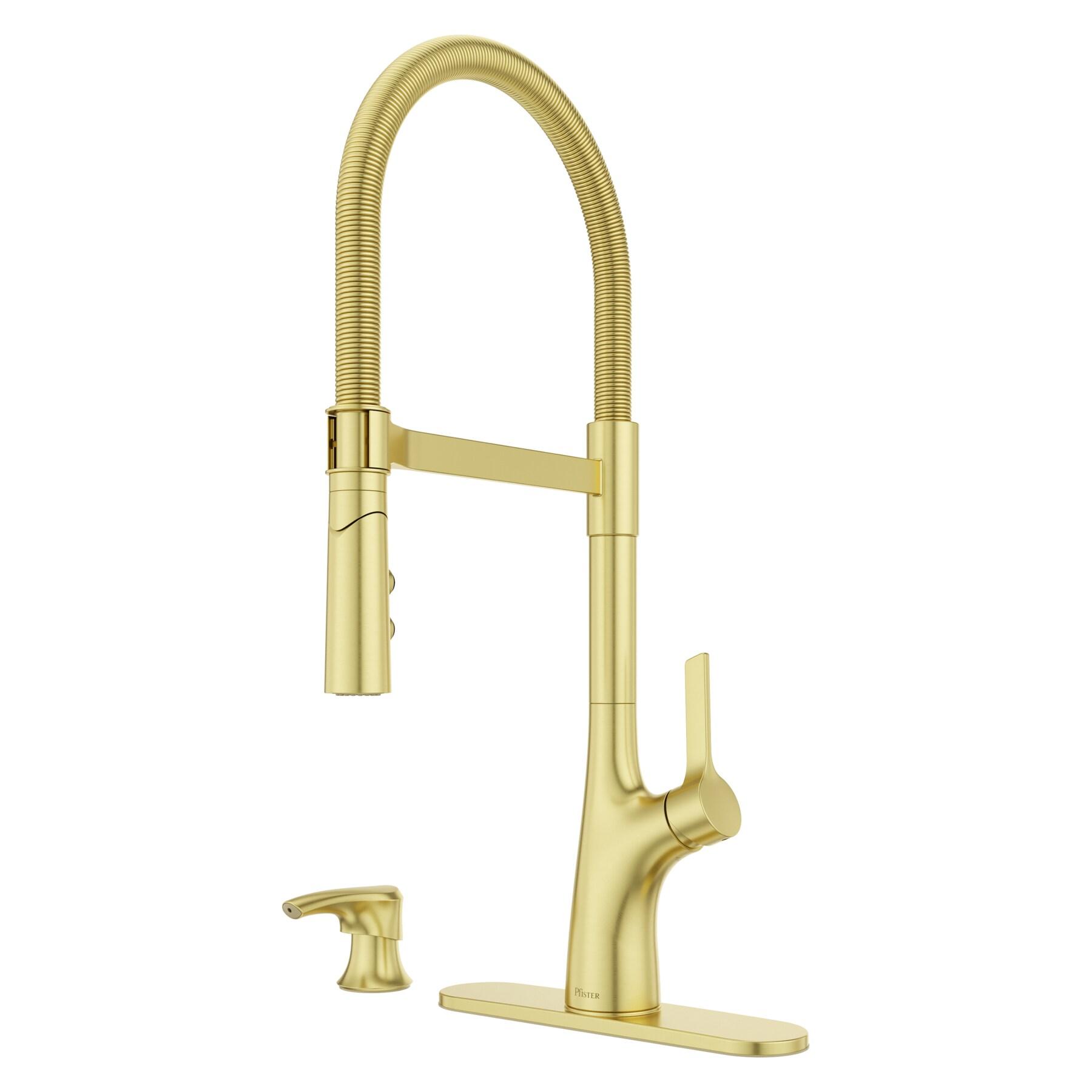 Ceylon Single Handle Culinary Pull Down Sprayer Kitchen Faucet in Brushed Gold