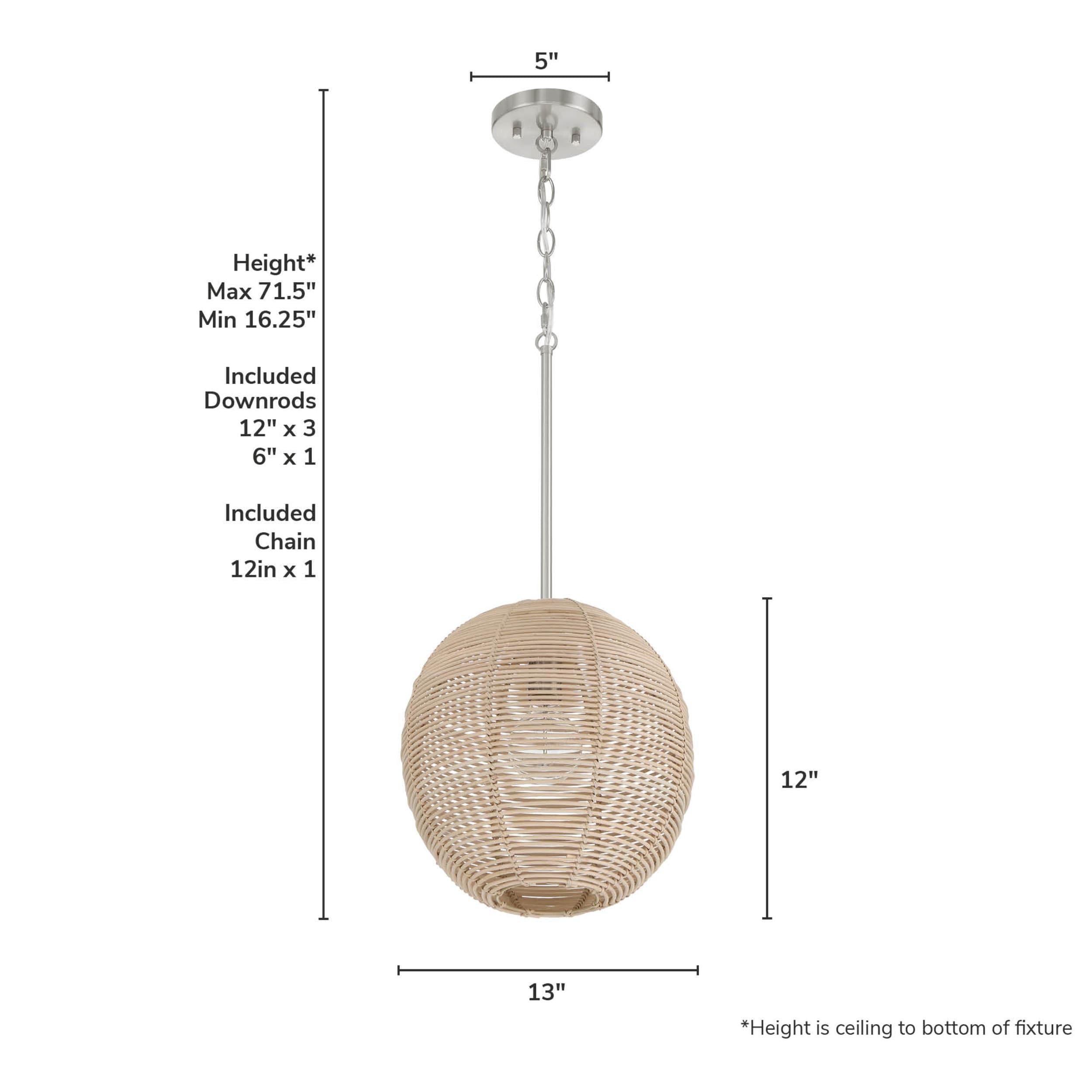 Hunter Berkeley 1 Light Medium Pendant Ceiling Light Fixture