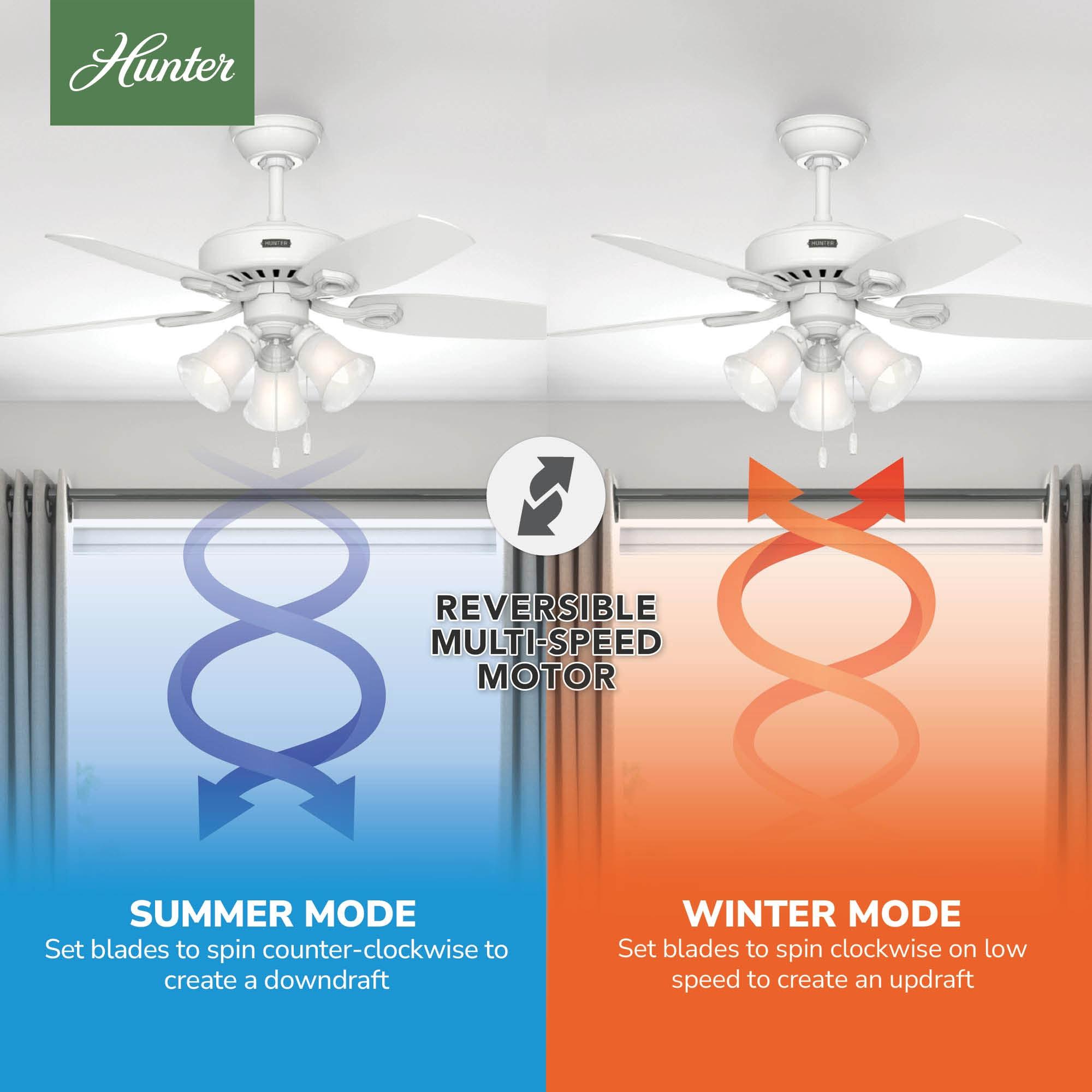 42" Builder 5 - Blade Standard Ceiling Fan with Pull Chain and Light Kit Included