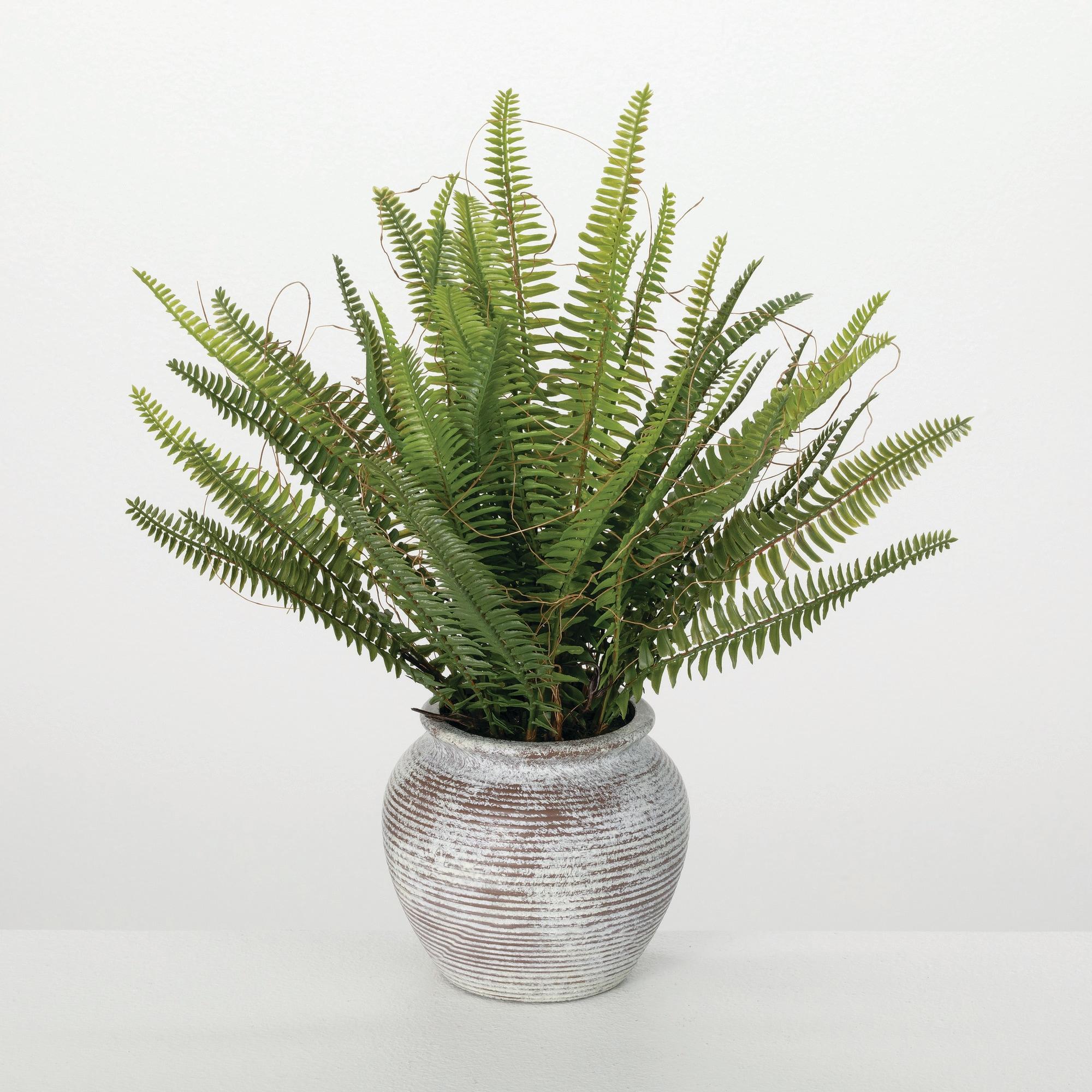 Ophelia & Co. Artificial Rustic Potted Fern Bush 16"H; Green