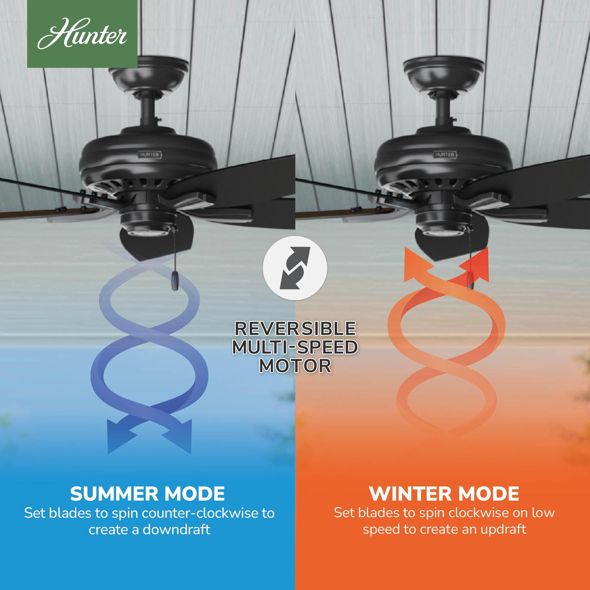 52" Newsome 5 - Blade Outdoor Standard Ceiling Fan with Pull Chain
