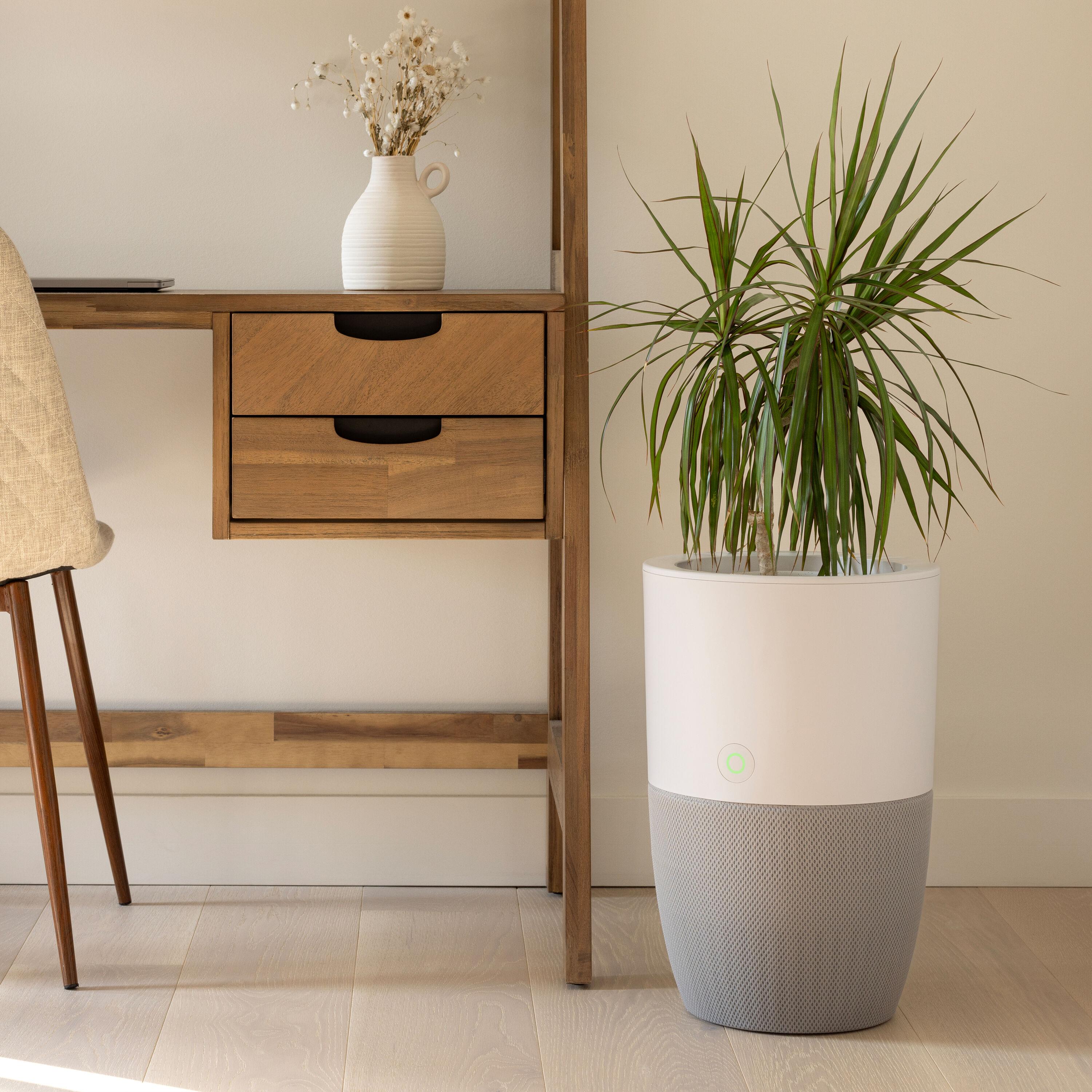 Dupray Dupray Personal Air Purifier with True HEPA Filter for 1517 Cubic Feet