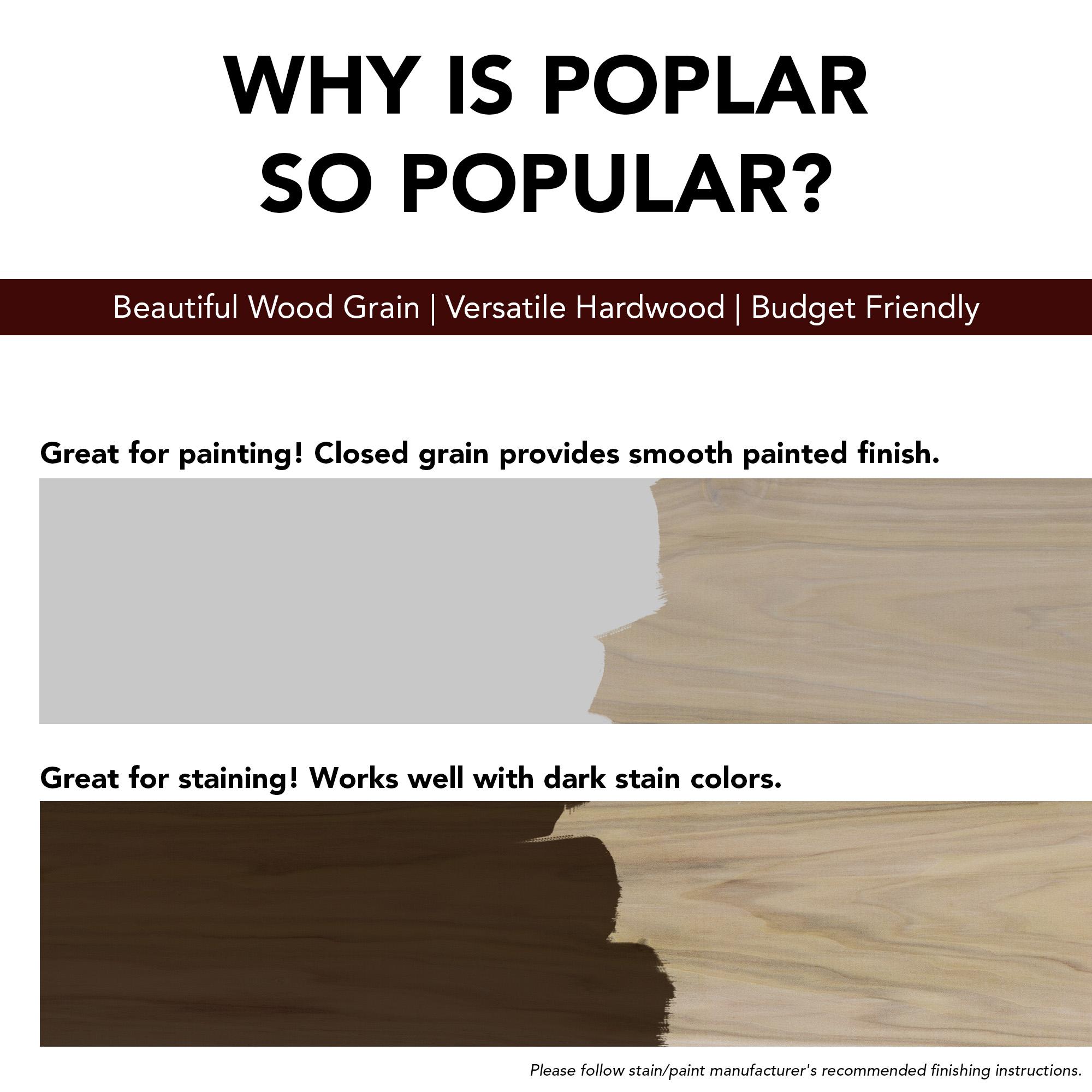 Ornamental Mouldings .6875 In. D X 3.5 In. W X 92 In. L Unfinished Poplar Duncan Sawtooth Casing Moulding