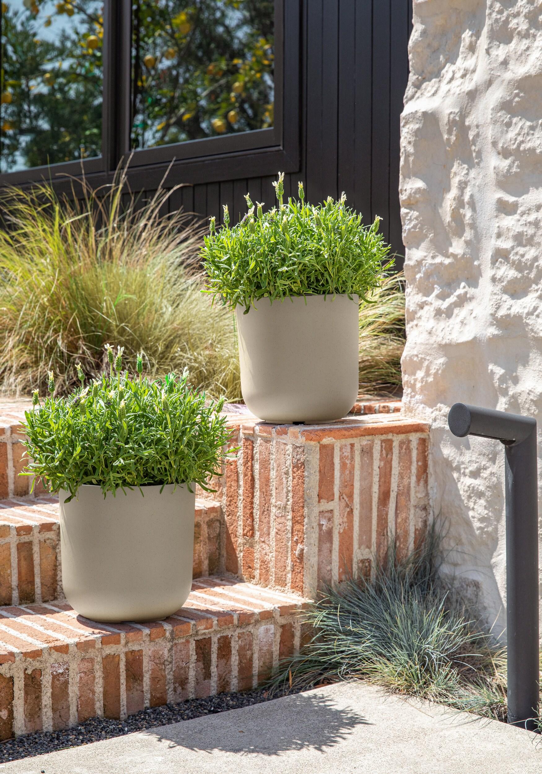 Mason Series Kona Planter