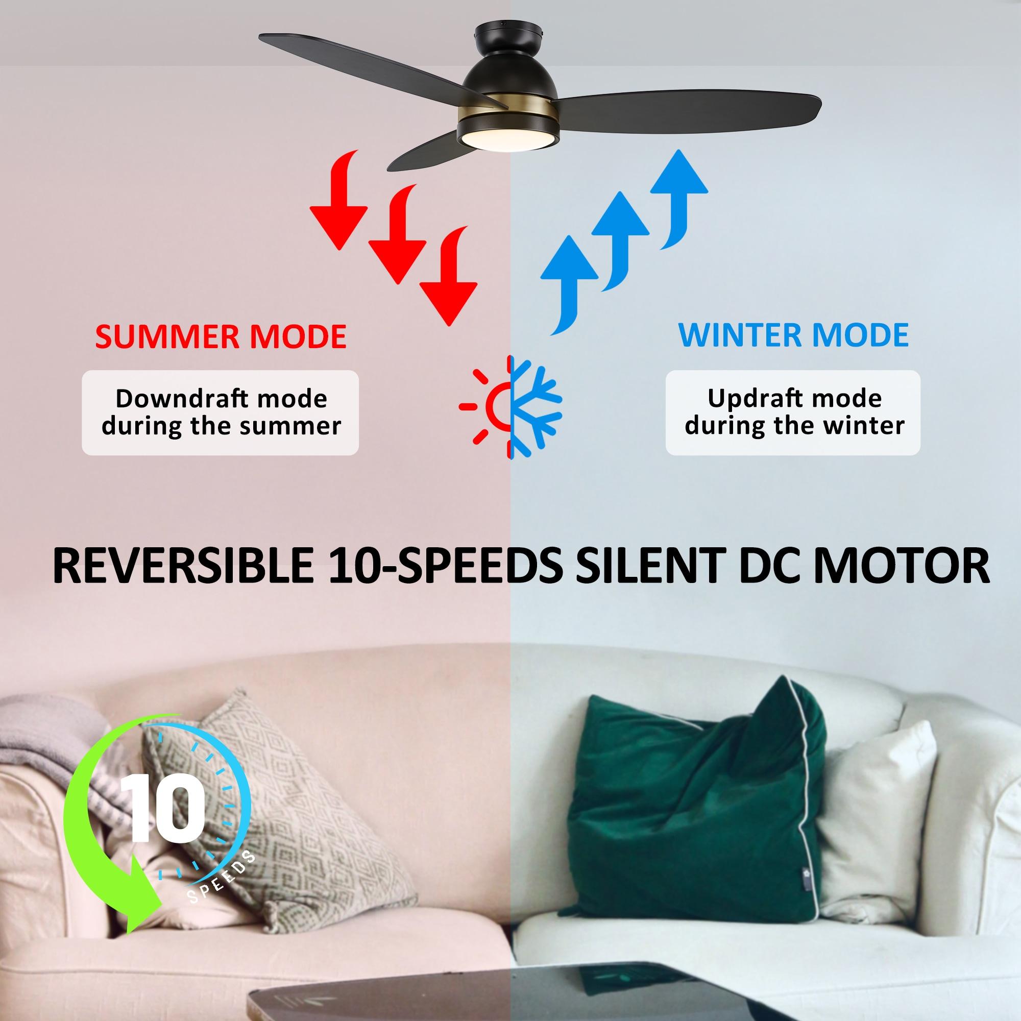 CARRO Smart Flush Mount Ceiling Fan with Light, Remote Control, DC Motor