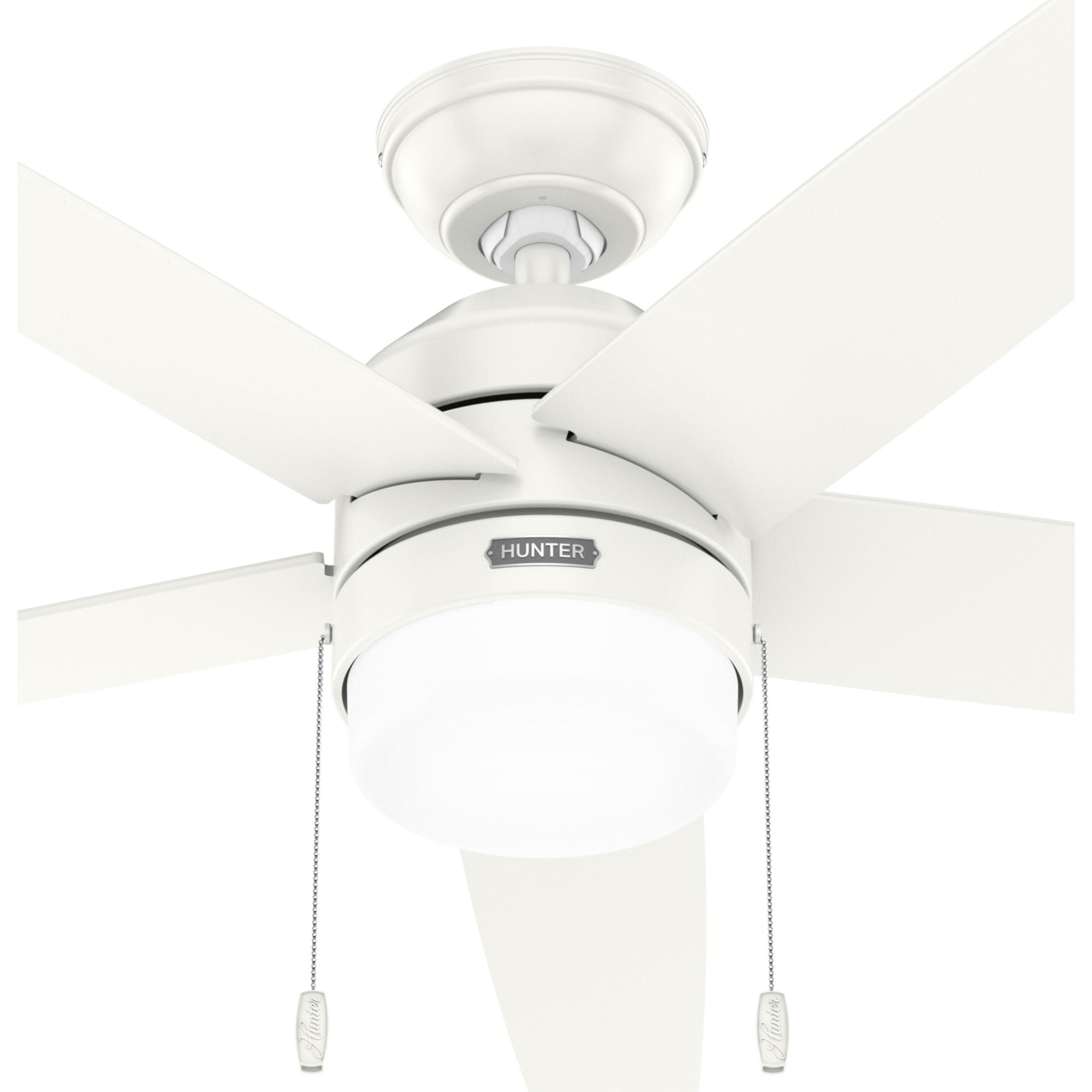 Bardot 52" 5 - Blade Ceiling Fan With Lights and Pull Chains
