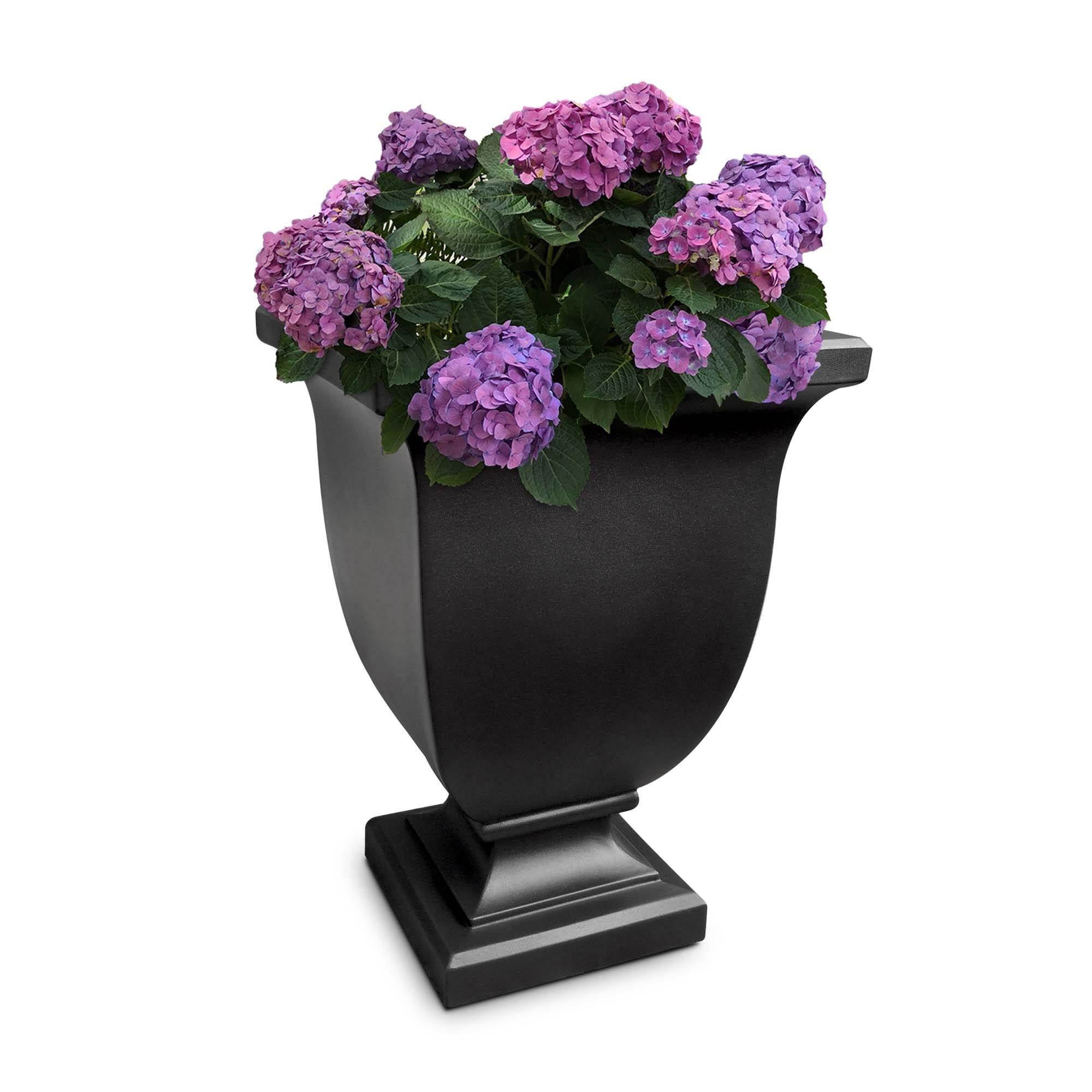 Red Barrel Studio® Arvia Self Water Resin Urn Planter