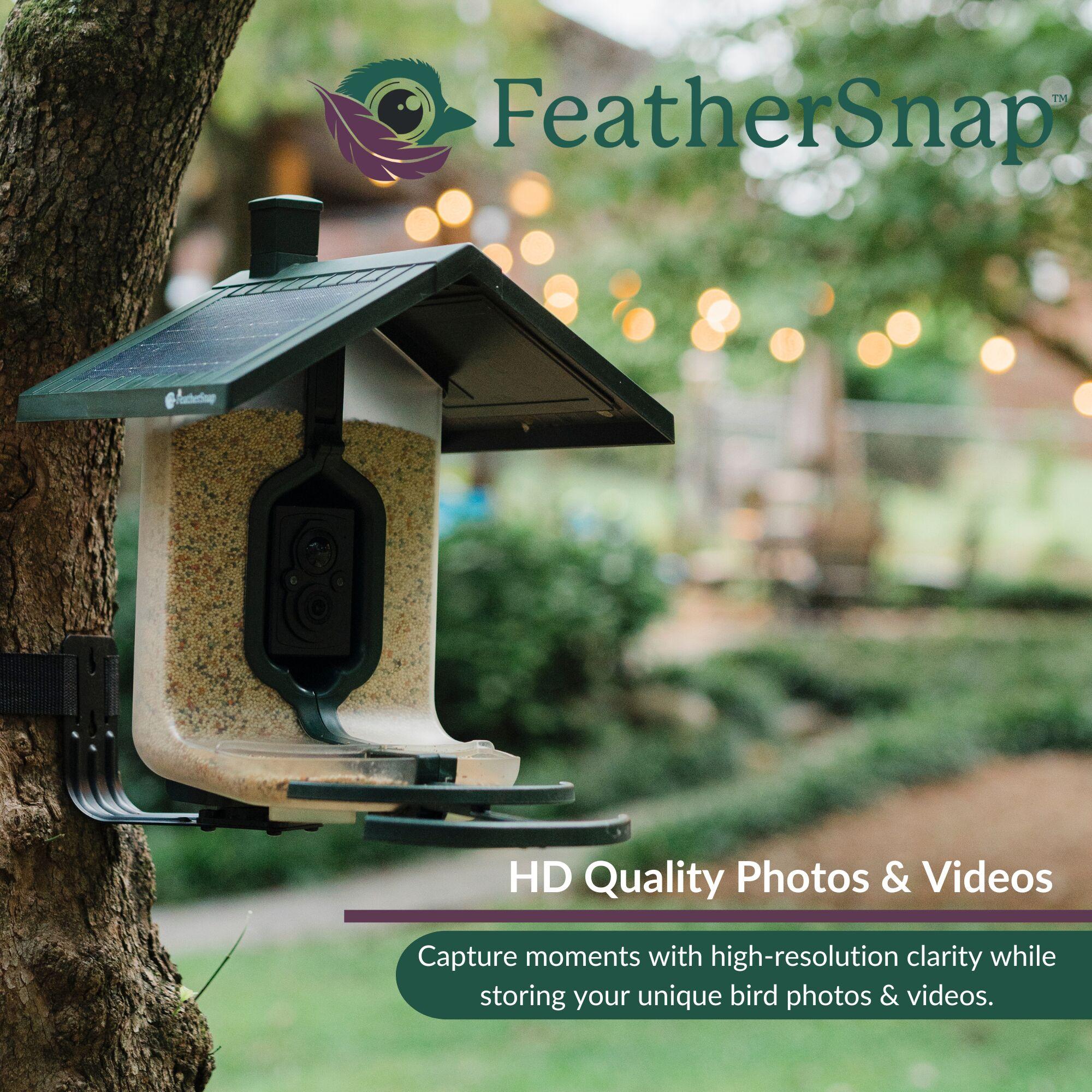 Feathersnap Scout WiFi Solar-Powered Smart Bird Feeder