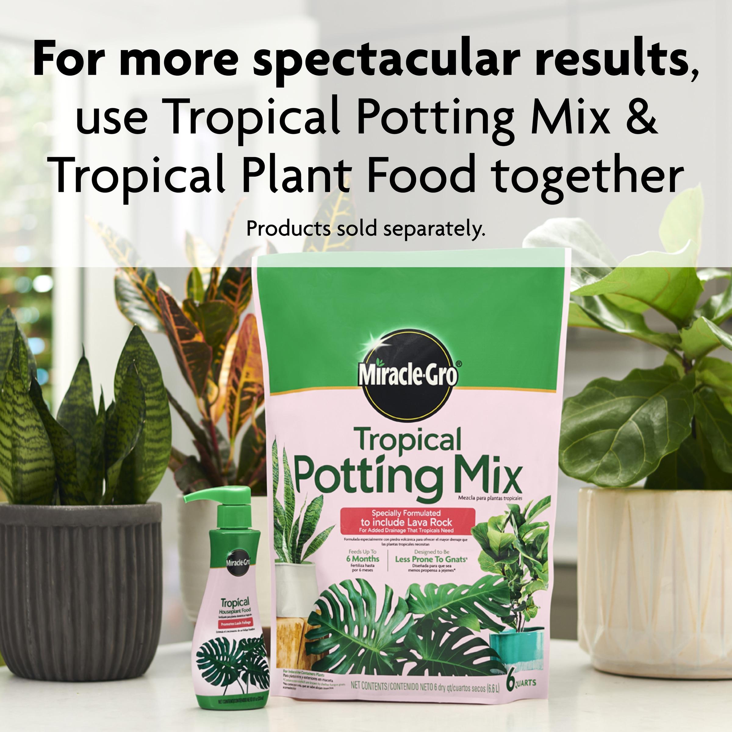 Miracle-Gro Tropical Potting Mix, 6 qt. - Growing Media