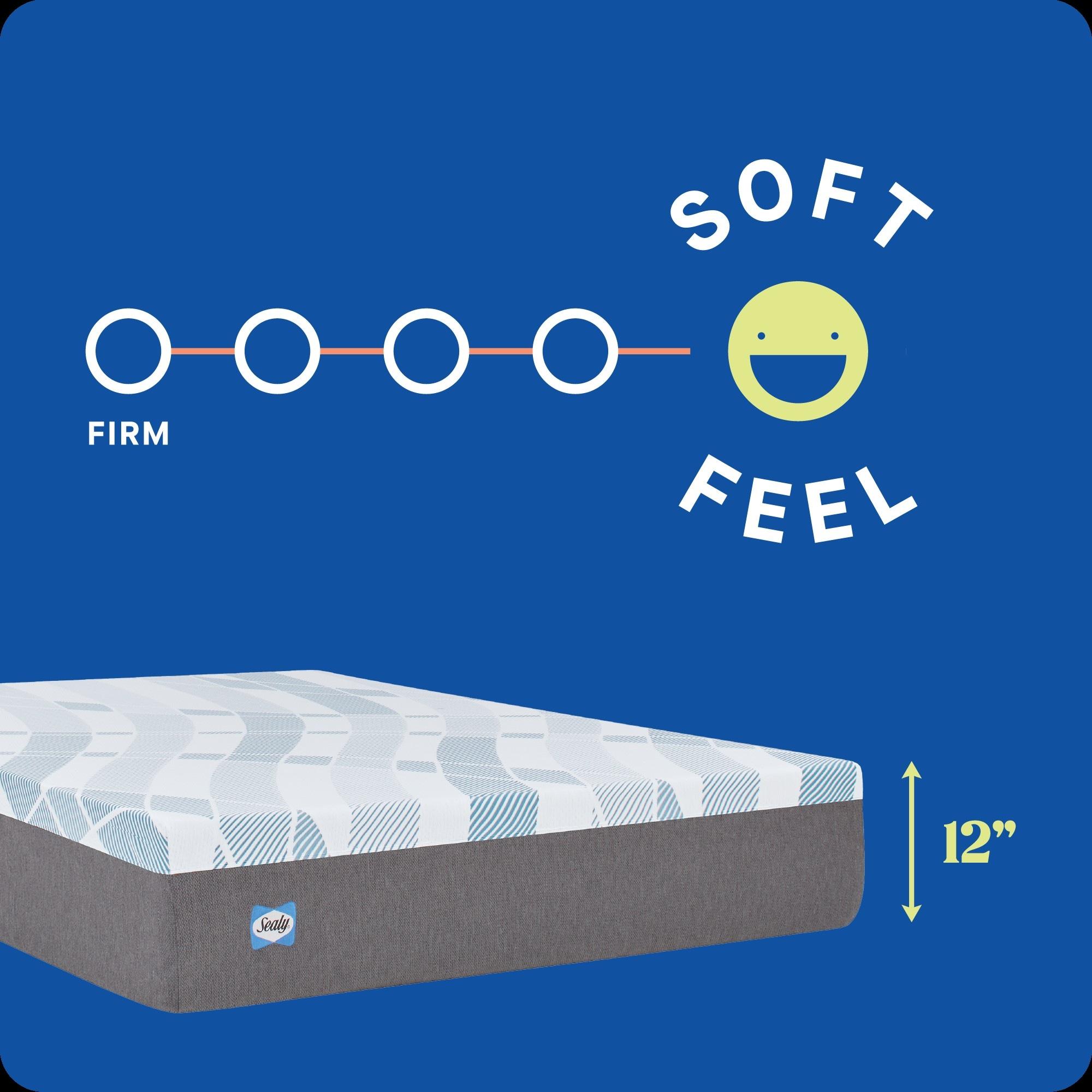 Sealy Dreamlife 12” Plush Foam Mattress-in-a-Box