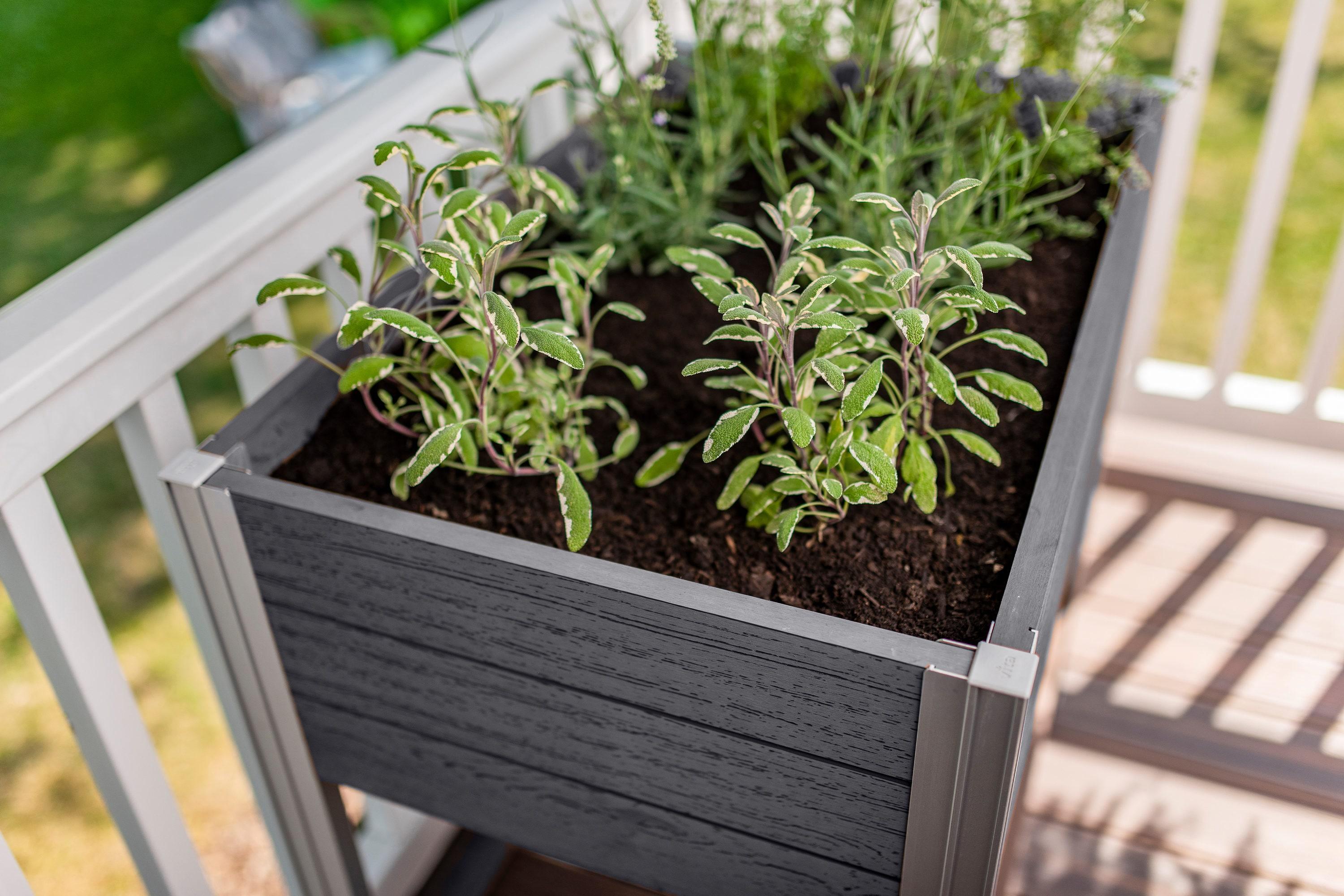 Urbana Elevated Planter