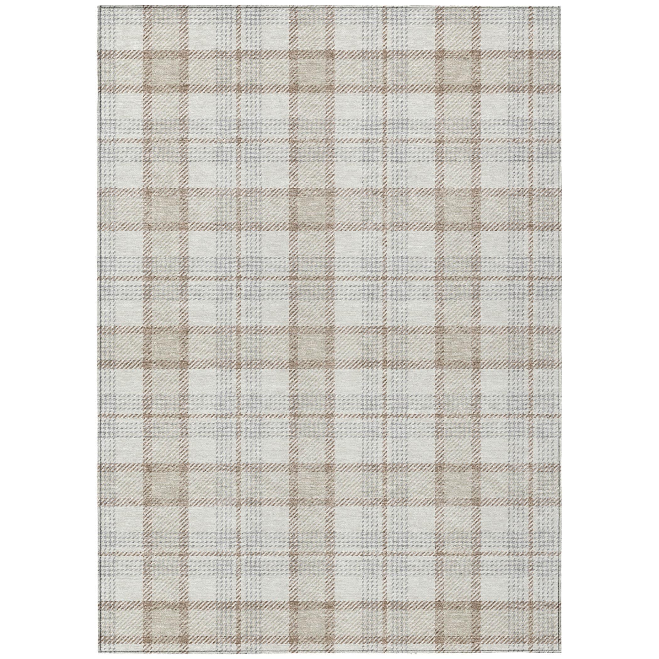 Machine Washable Indoor/Outdoor Chayden ACN1052 Rug