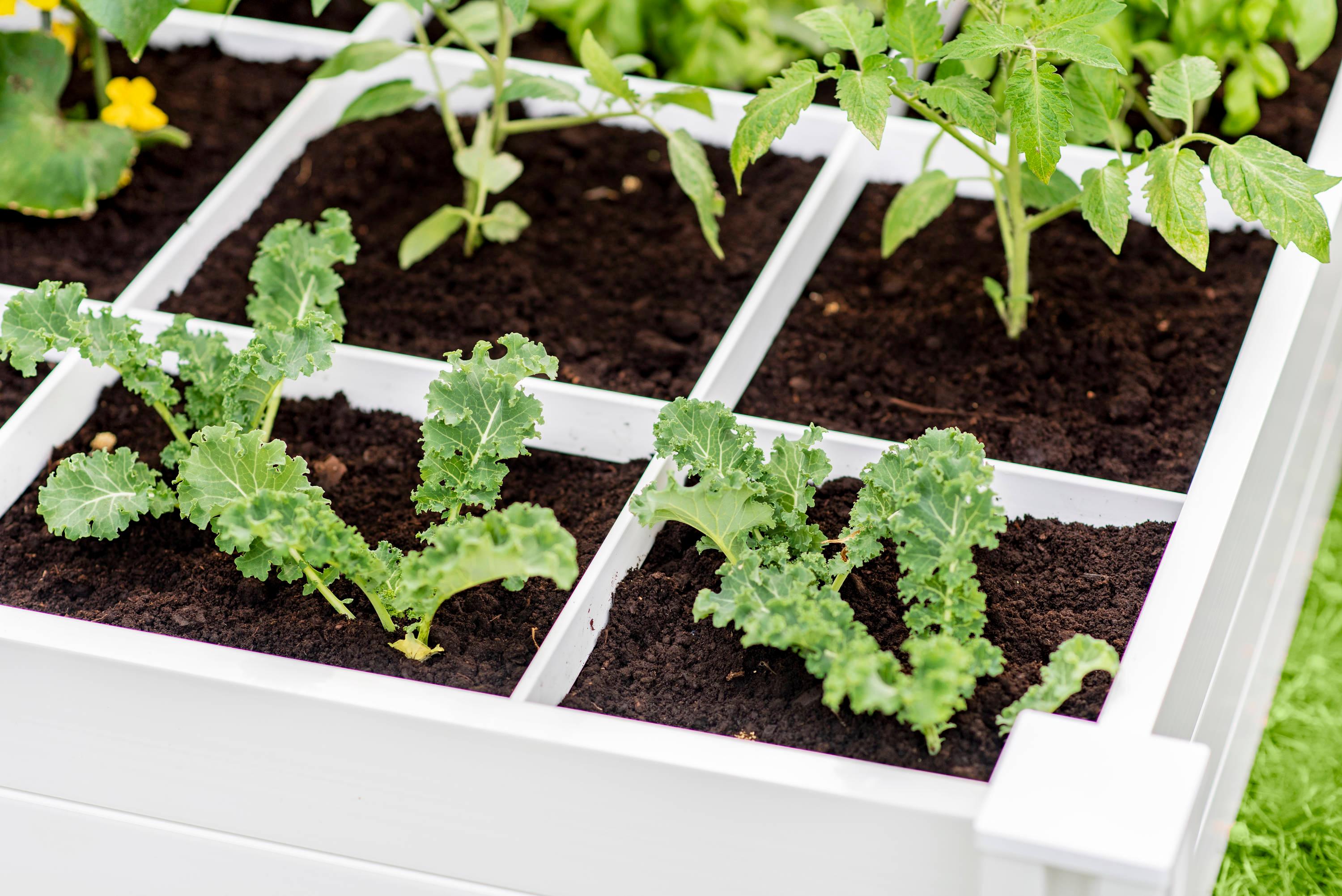 Classic White Vinyl 48" x 48" Raised Garden Bed with Grid