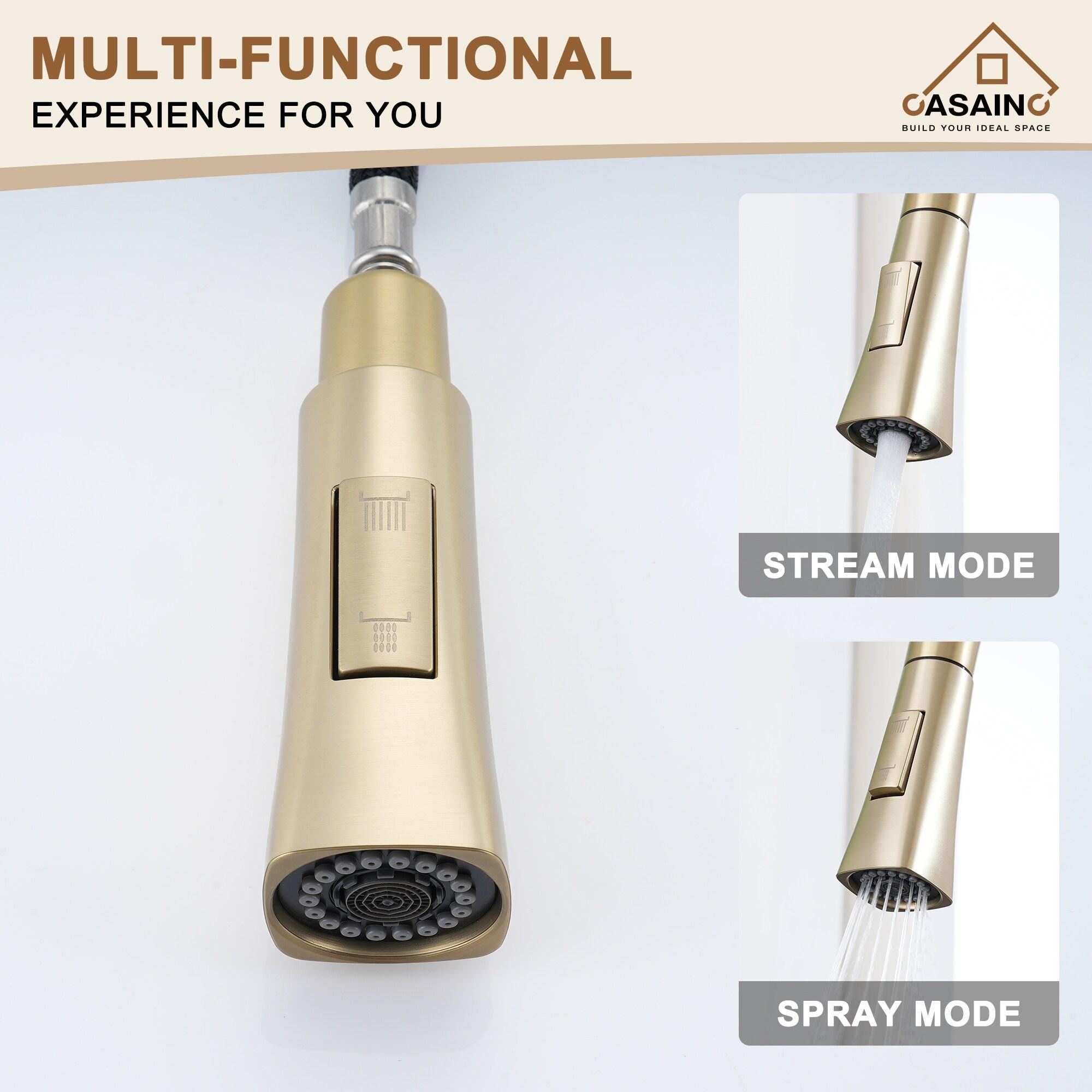 CASAINC CASAINC Single-Handle Pull-Down Kitchen Faucet Single Hole Faucet CA-D4171-BG