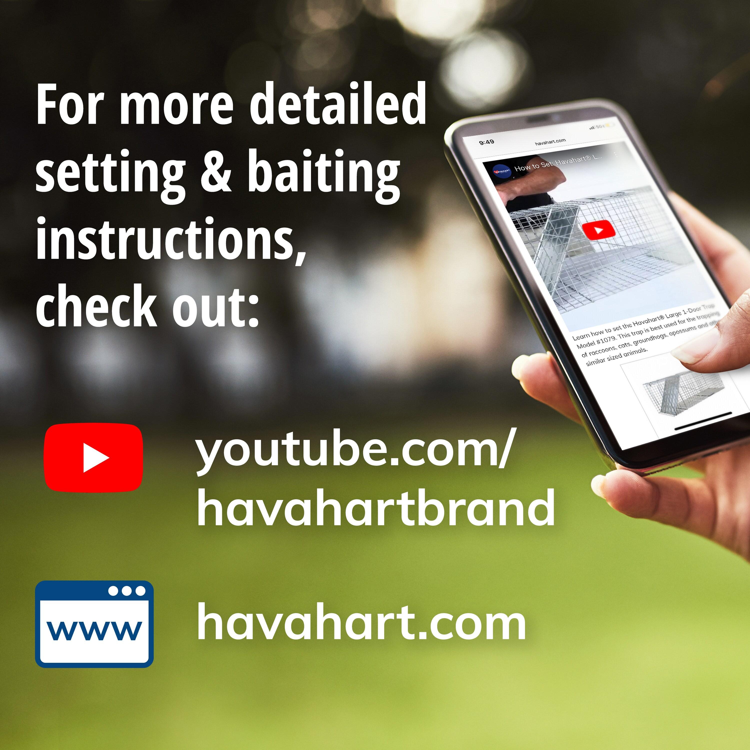 Havahart Large 1-Door Animal Trap