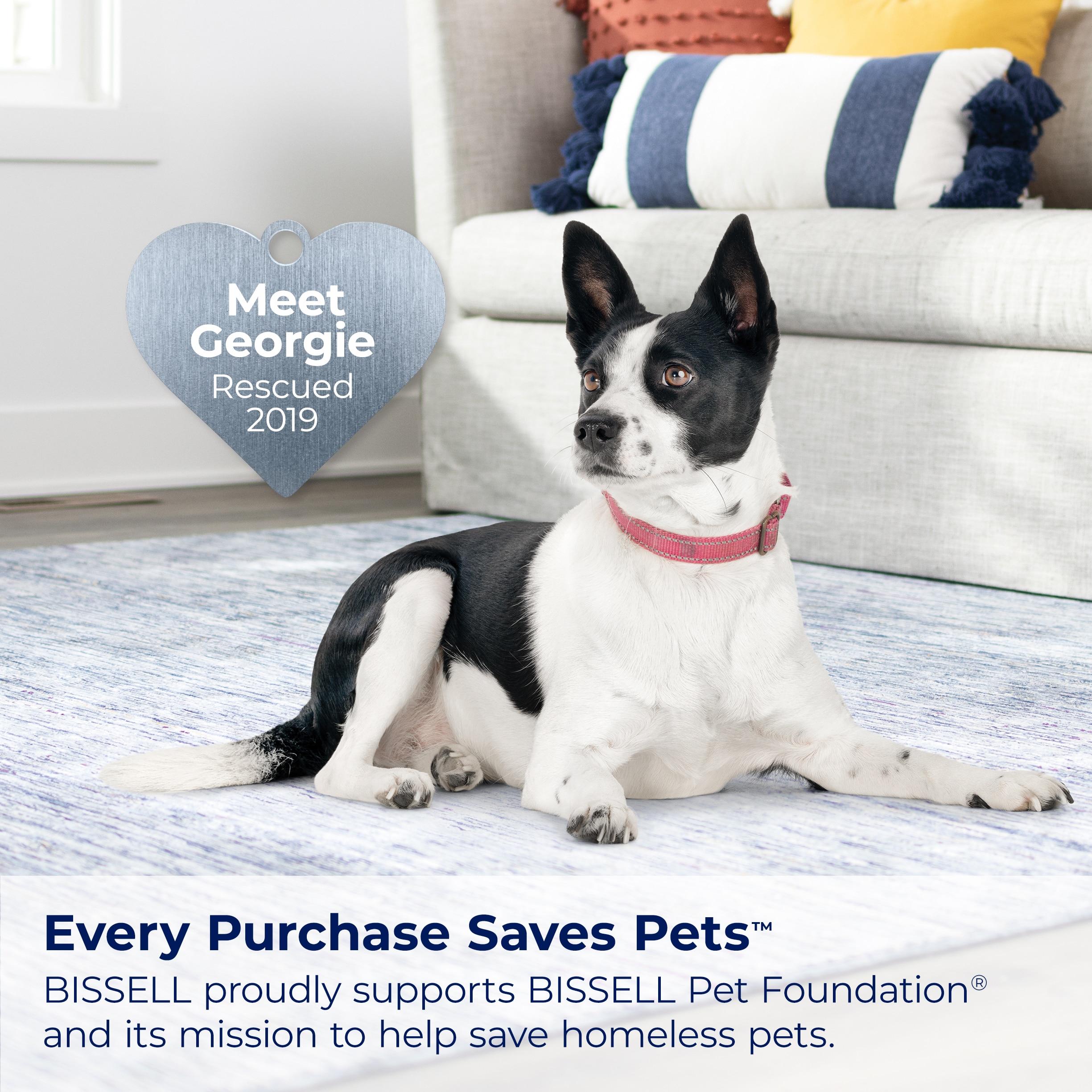 BISSELL BISSELL Little Green HydroSteam Multi-Purpose Portable Carpet and Upholstery Cleaner, Car and Auto Detailer, 3618 3605