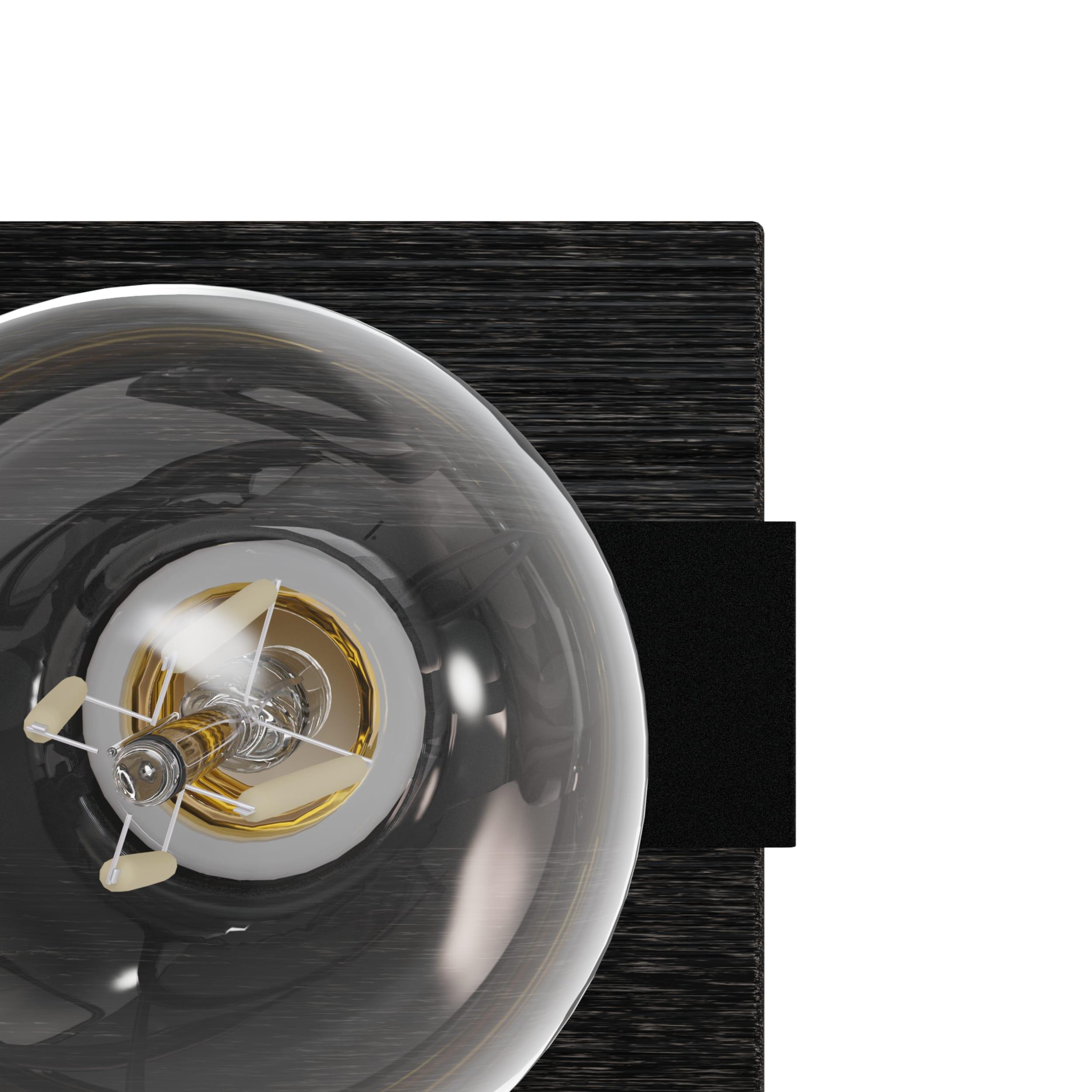 Hunter Fan Donelson Natural Black Iron and Dark Ash Sconce Wall Light Fixture: ETL Listed, Dimmable, Metal Body