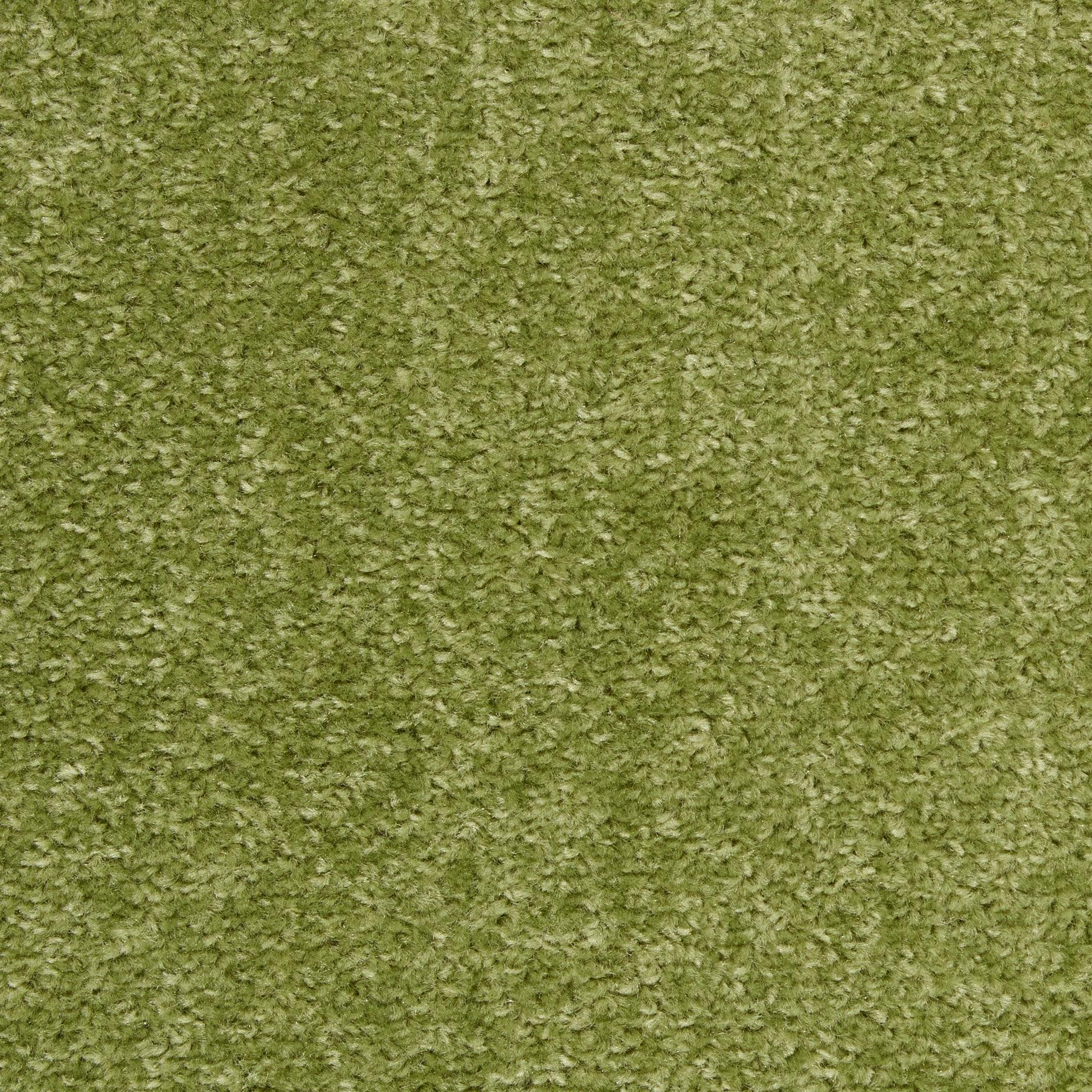 Nourison Nourison Essentials NRE01 Indoor/outdoor Area Rug - Green 2' x 4'