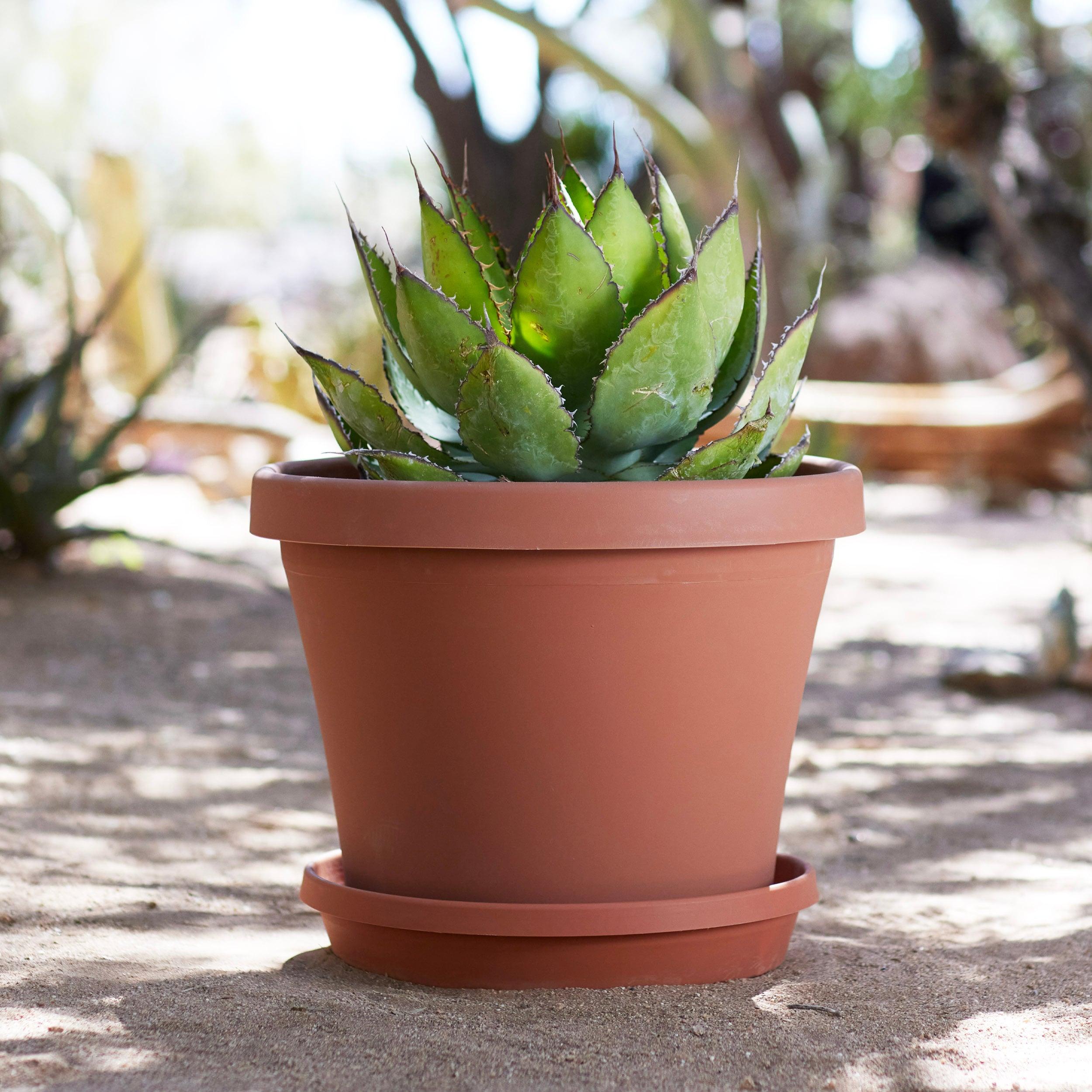 Bloem Terra Pot Round Planter: 16" - Terra Cotta Color, (Saucer Not Included) Matte Finish, Durable Resin, Traditional Style Pot, For Indoor and Outdoor Use, 8 Gallon Capacity