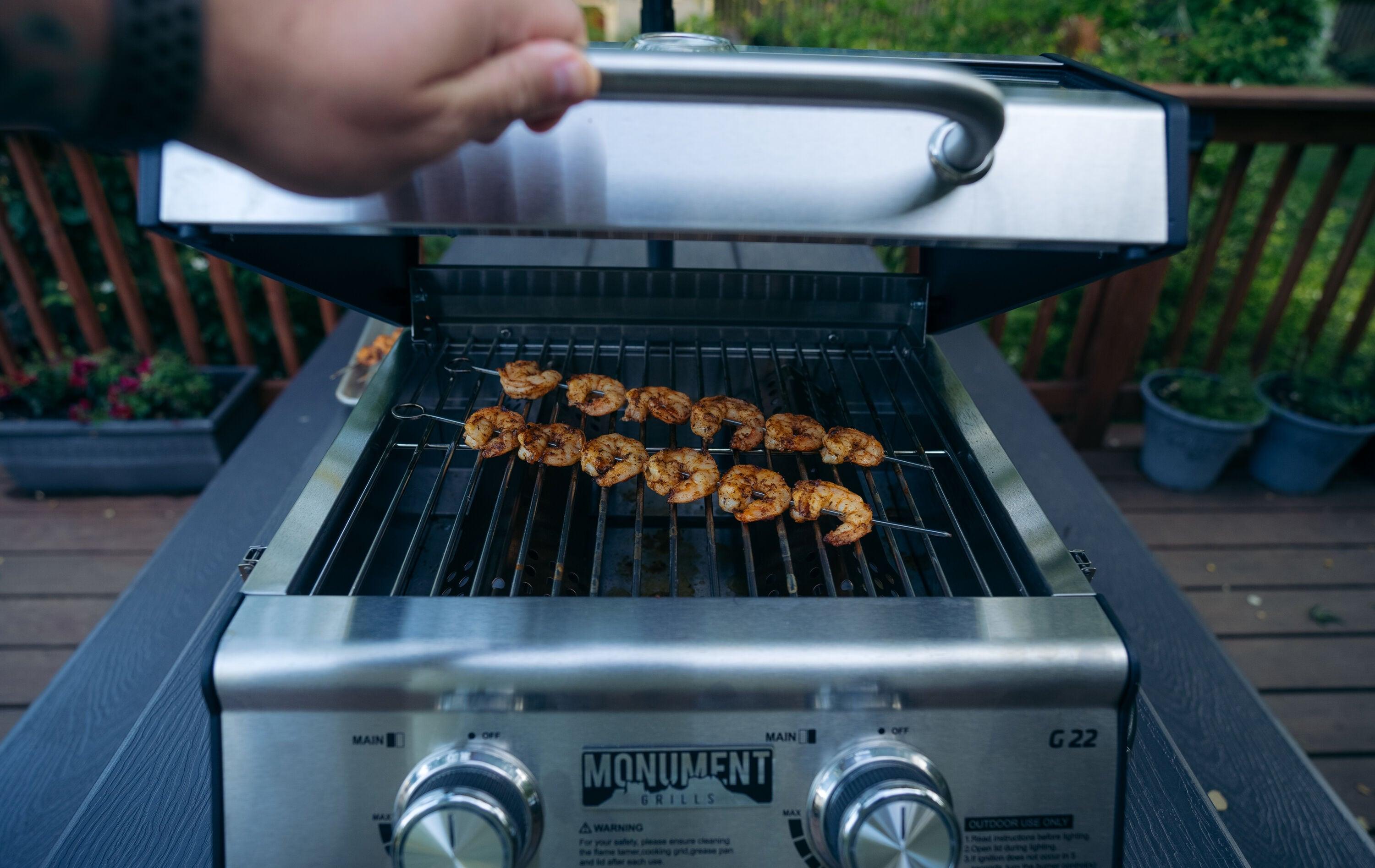 Monument Grills, Clearview 2 - Burner Portable Stainless Liquid Propane 15000 BTU Gas Grill