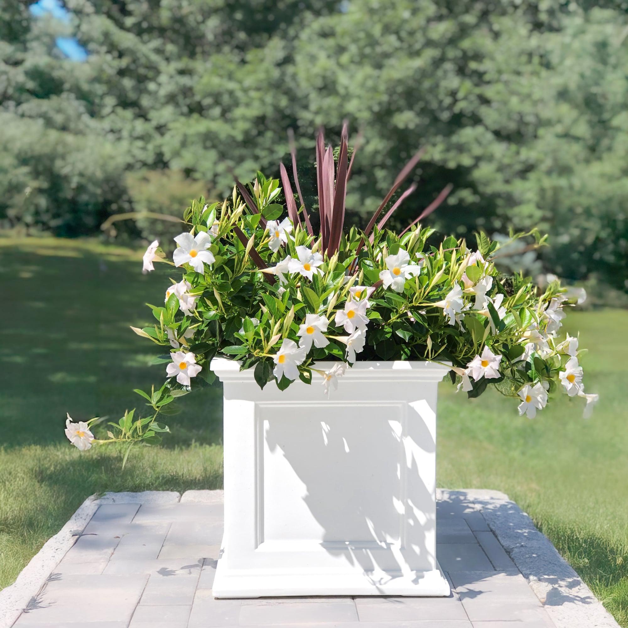 Mayne Fairfield 20" x 20" x 20" Square White Self Watering Plastic Planter