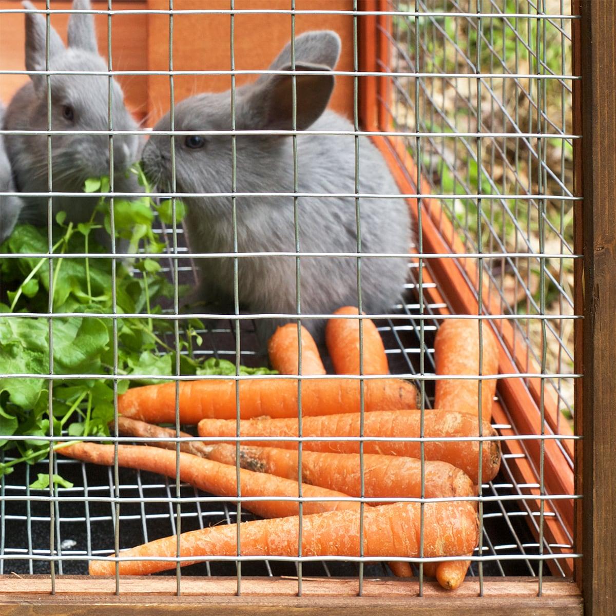 24in x 15ft 1x1in Light Duty Welded Wire