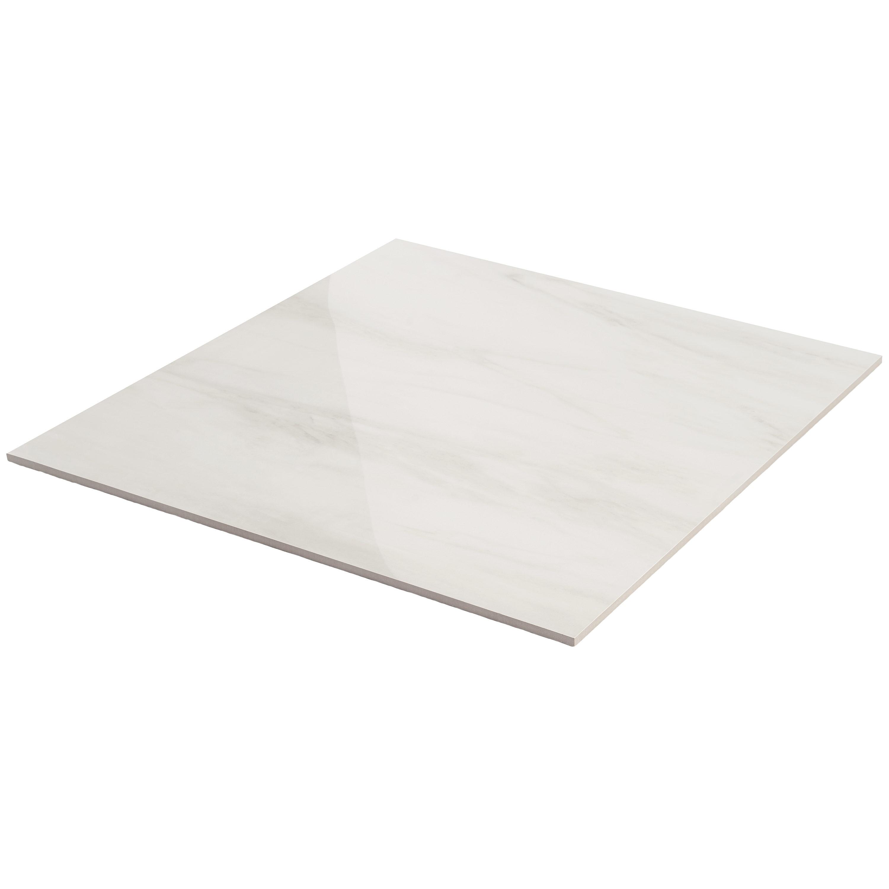 24" x 24" Polished Marble Look Porcelain Floor and Wall Tile (15.5 Sq. Ft. / Case)