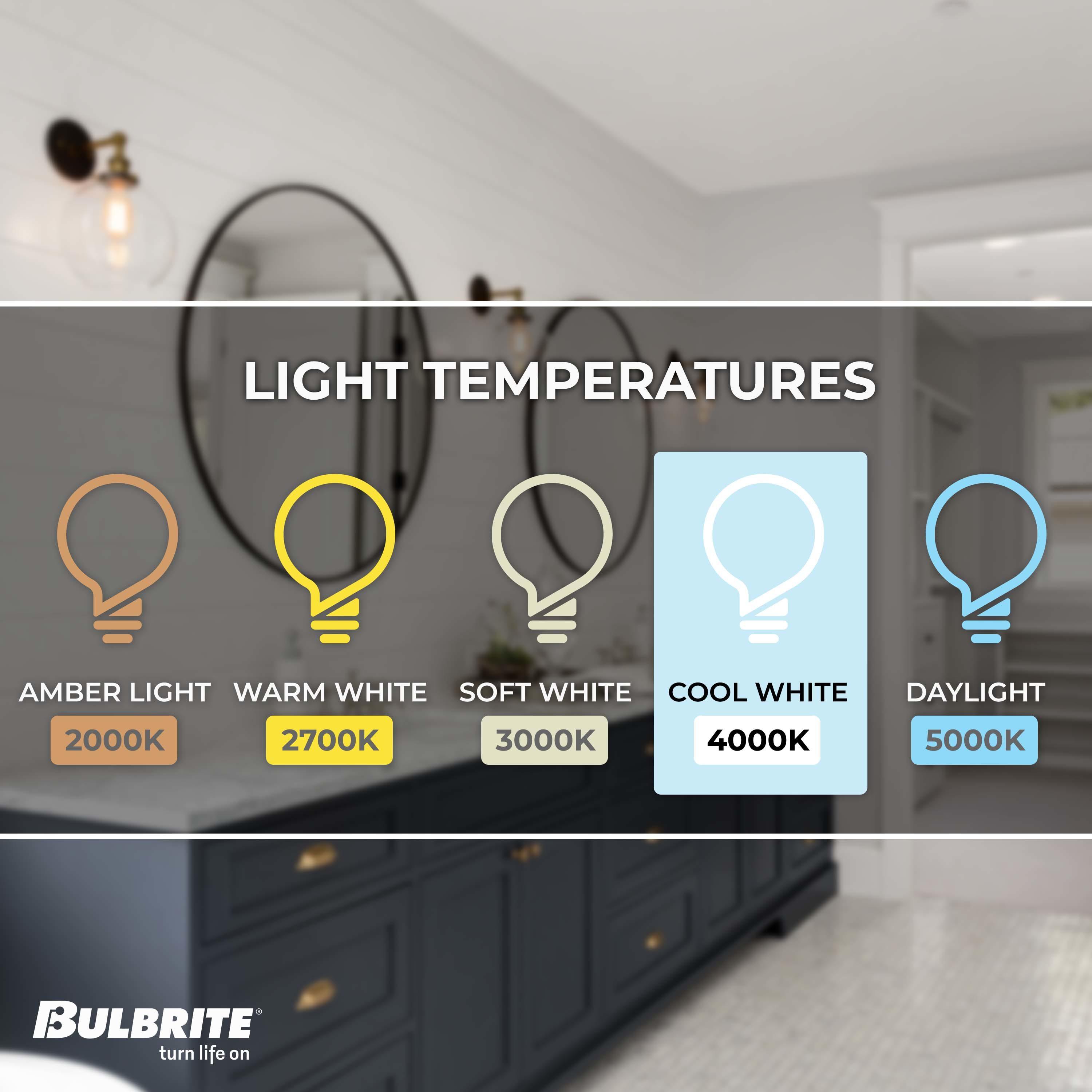 7 Watt (60 Watt Equivalent), ST18 LED, Dimmable Light Bulb, Cool White E26/Medium (Standard) Base. (Set of 8))