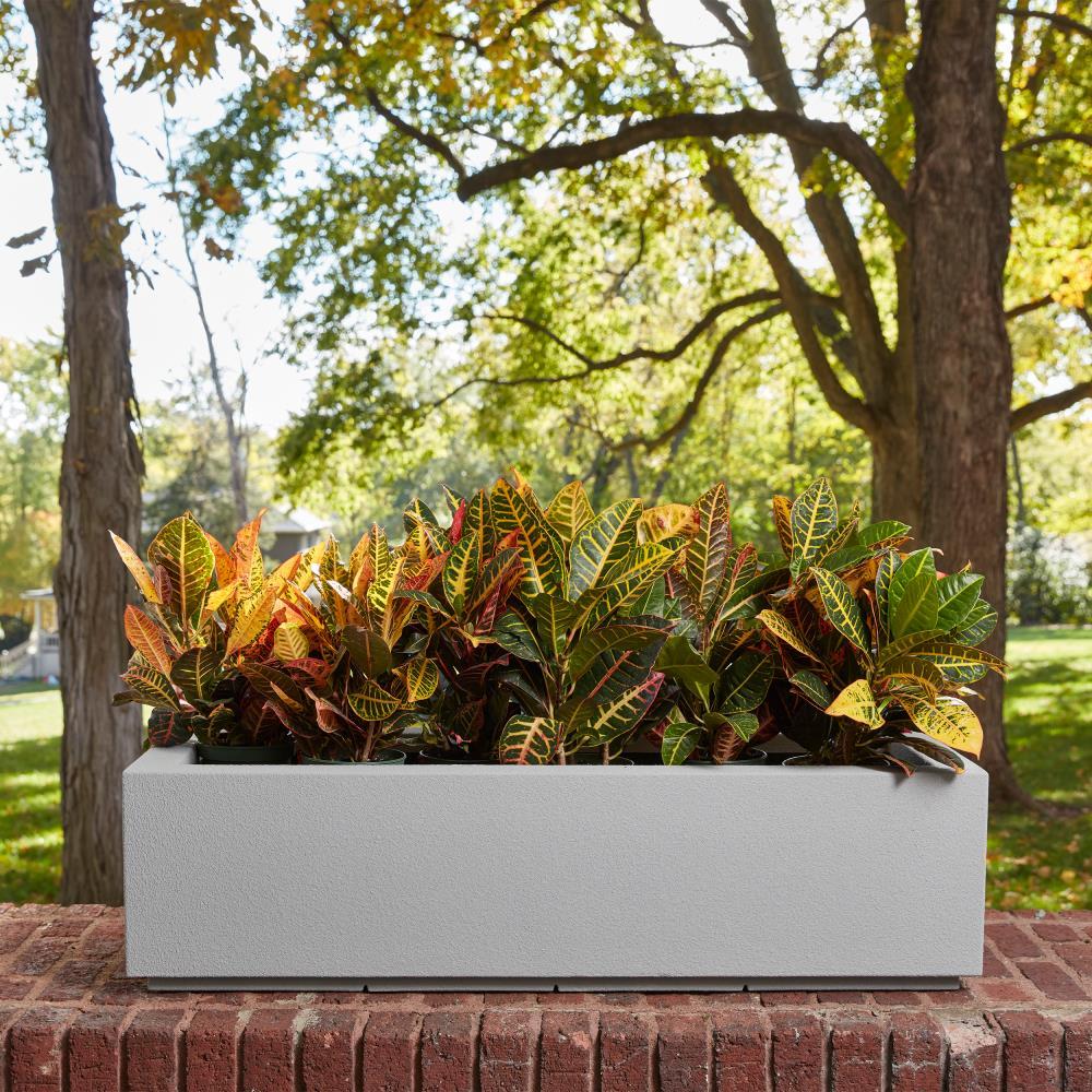 Gray Granite Extra Large Rectangular Polymer Planter