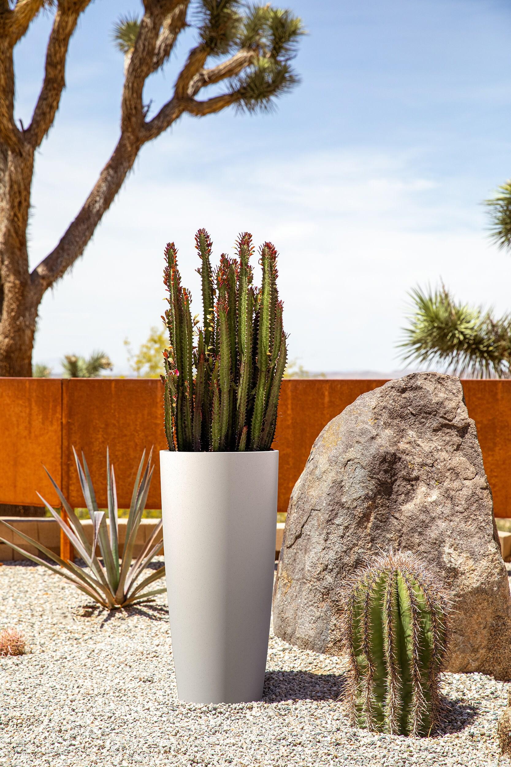Mason Series Selena Planter