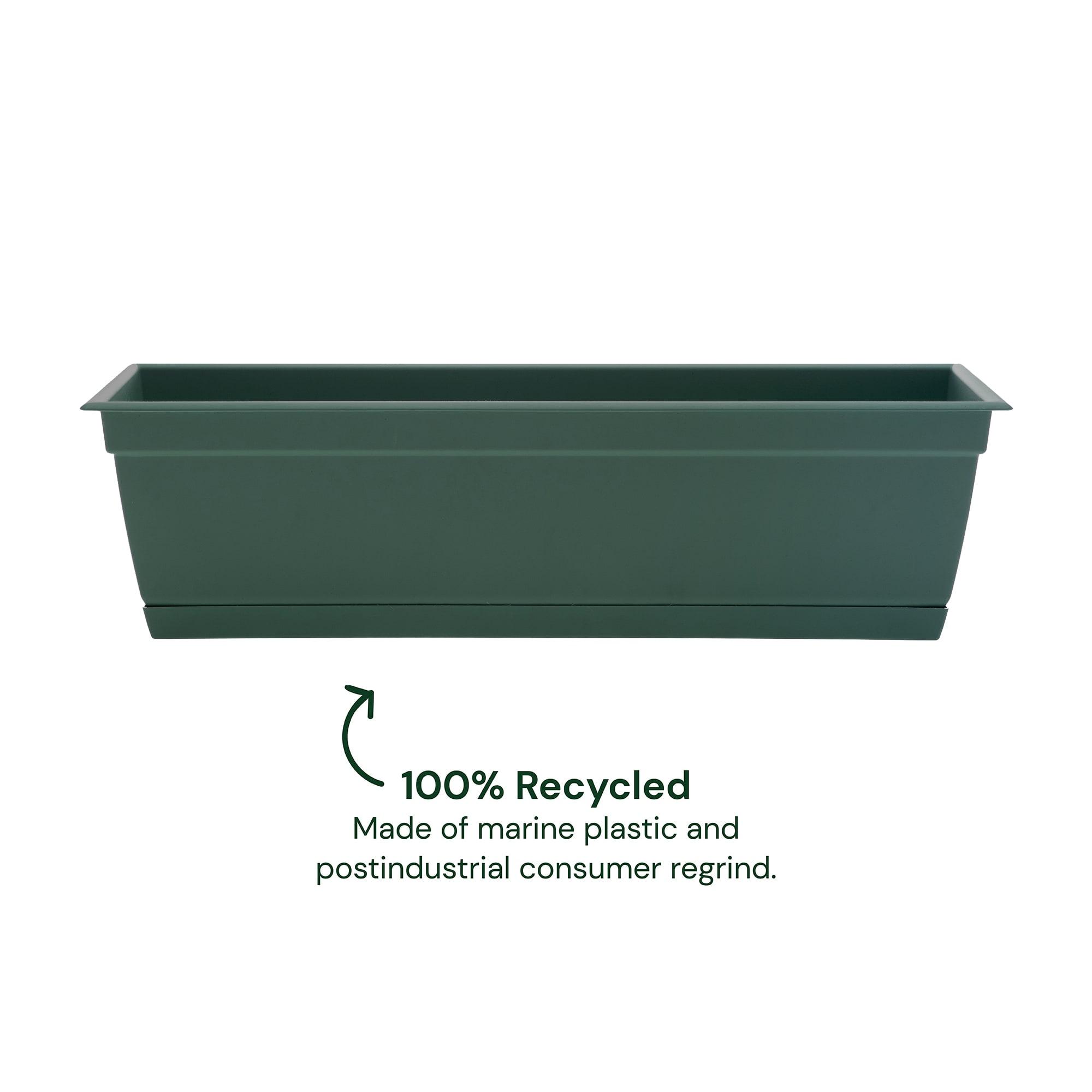 Bloem Dayton 6.87 in. H X 24 in. W Plastic Ocean Series Window Box Turtle Green
