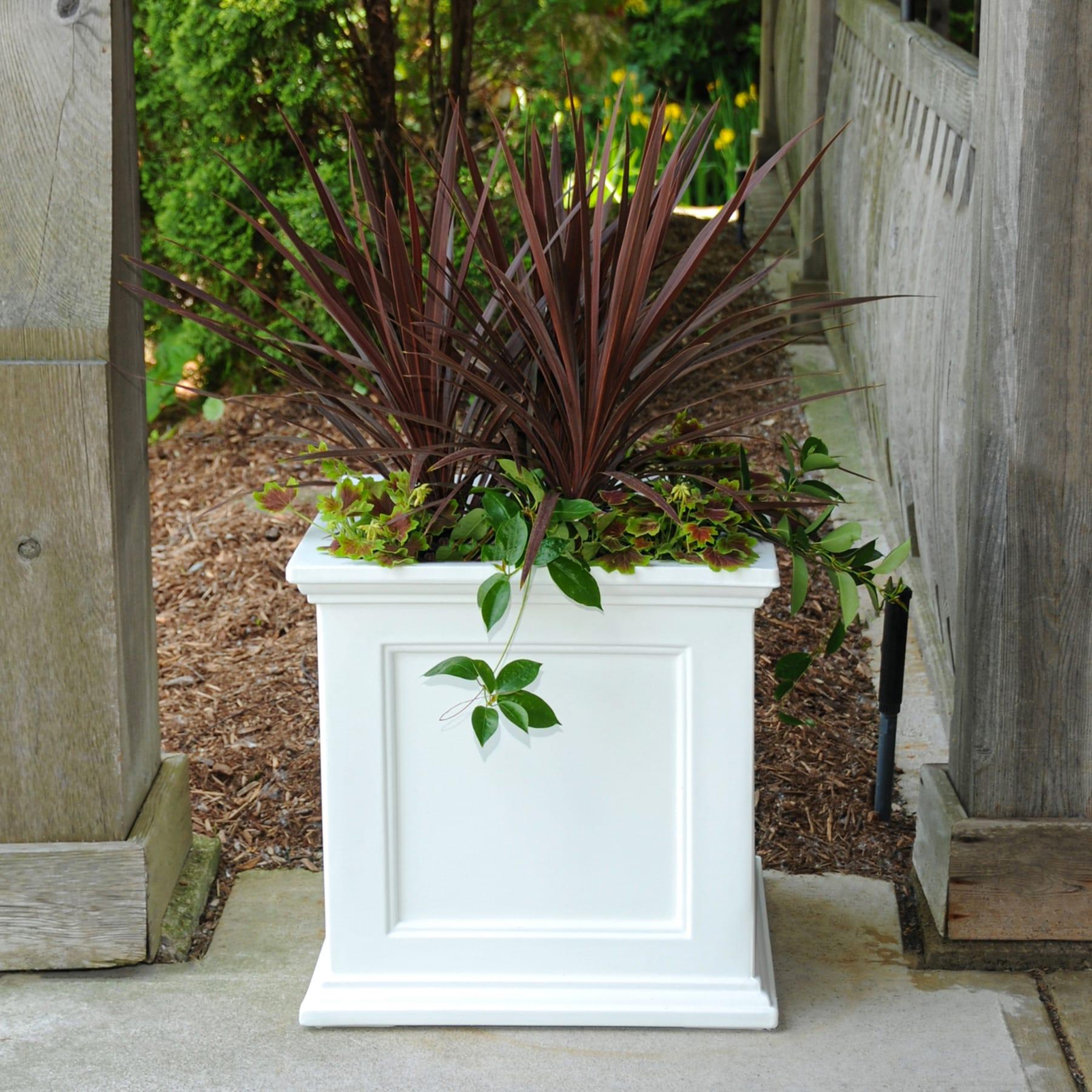 Mayne Fairfield 20" x 20" x 20" Square White Self Watering Plastic Planter