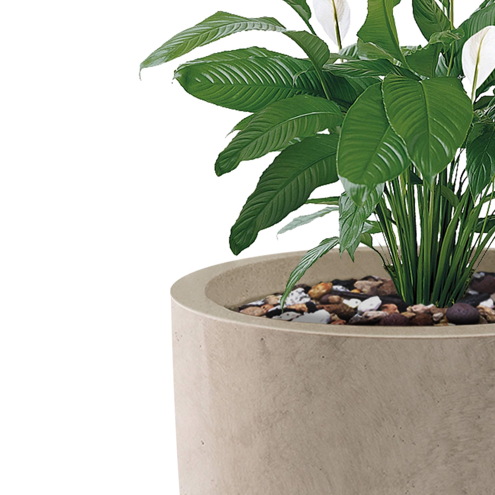 Rosemead Home & Garden 3pc Concrete Outdoor Planter Pots Beige