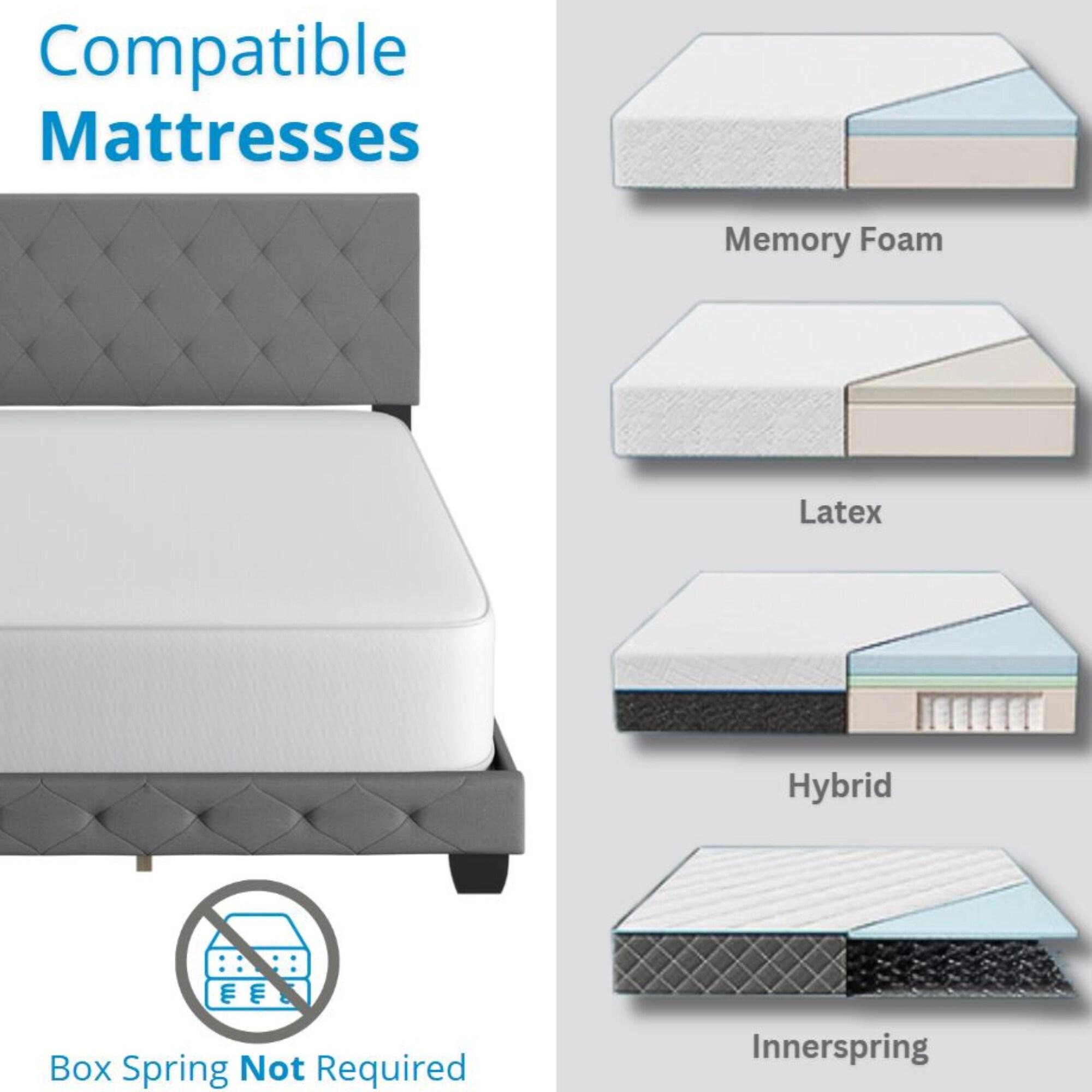 Boyd Sleep CHBU961QN Clara Upholstered  Platform  Bed