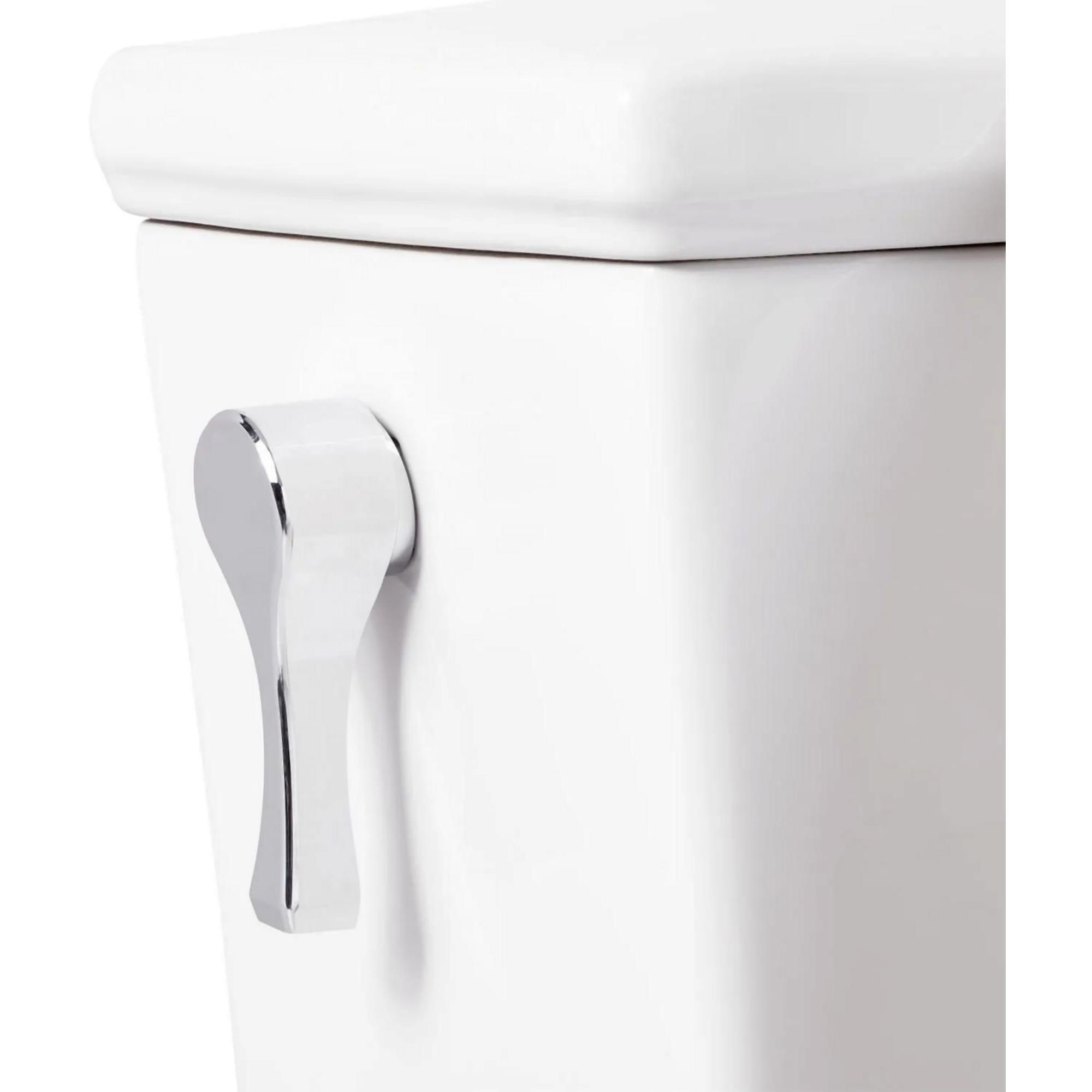Carraway Two-Piece Skirted Elongated Toilet