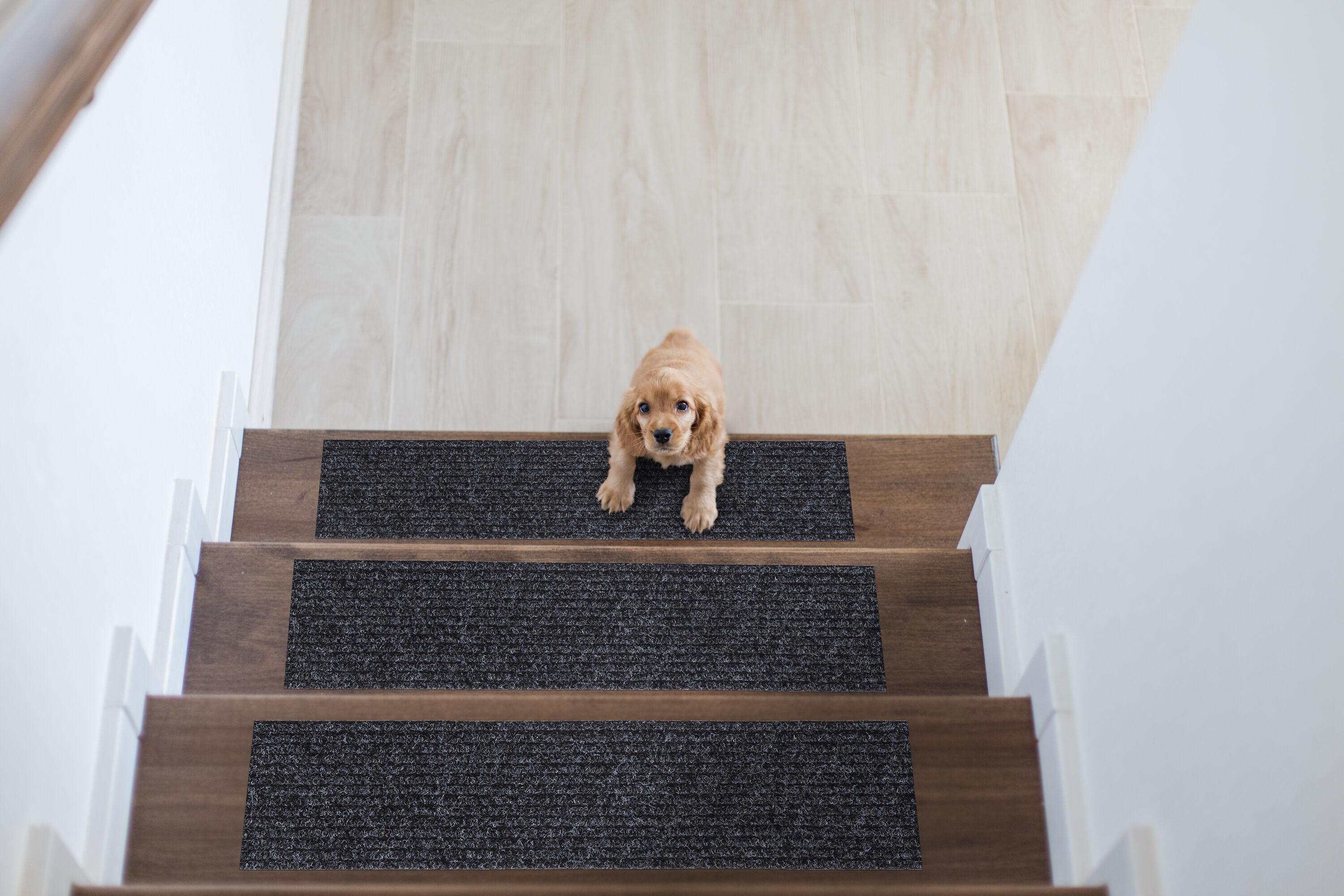 Ottomanson Lifesaver Non-Slip Rubberback Scrape Rib Indoor/Outdoor Stair Treads & Reviews | Wayfair