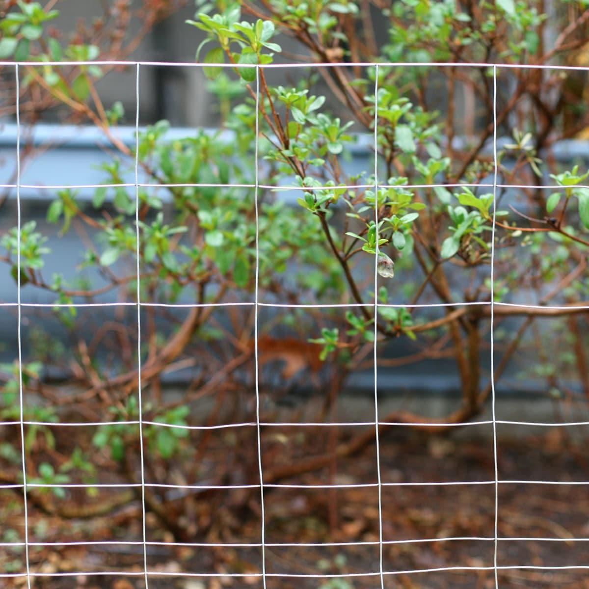 36-Inch Gray Galvanized Steel Rabbit Guard Garden Fence