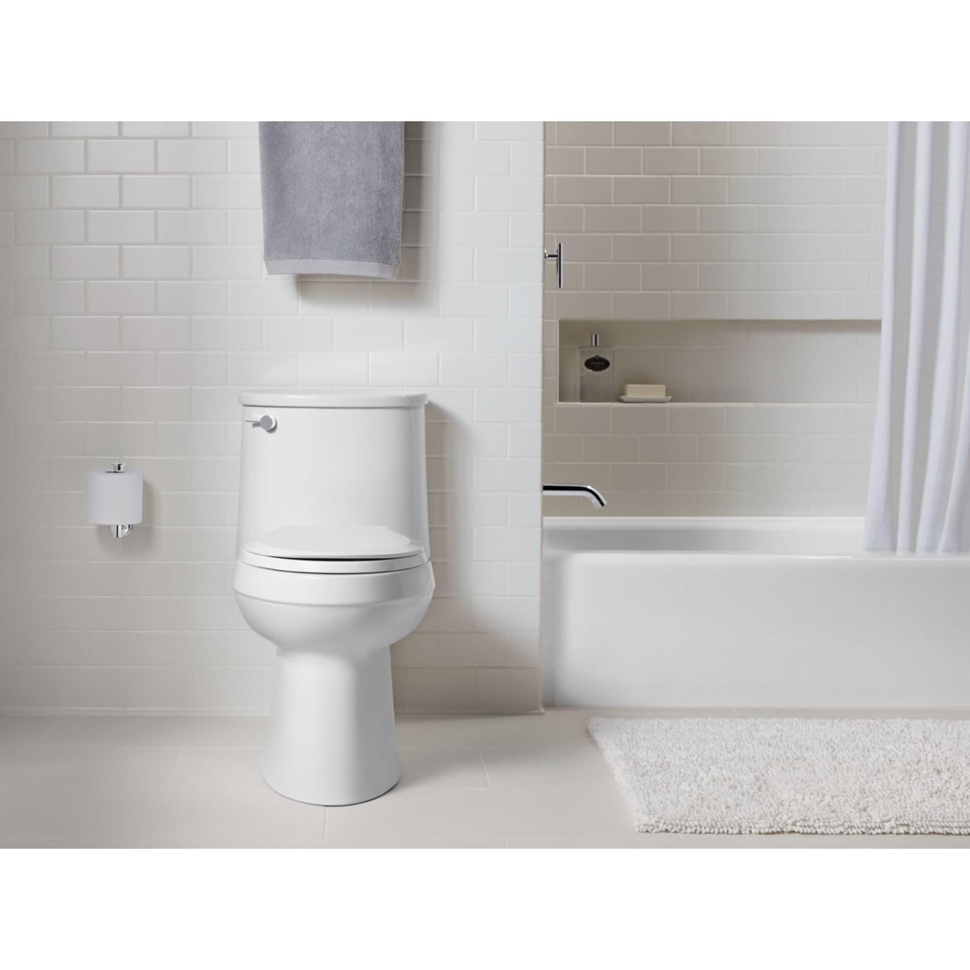 Adair 1.28 GPF Water Efficient Elongated One-Piece toilet (Seat Included)
