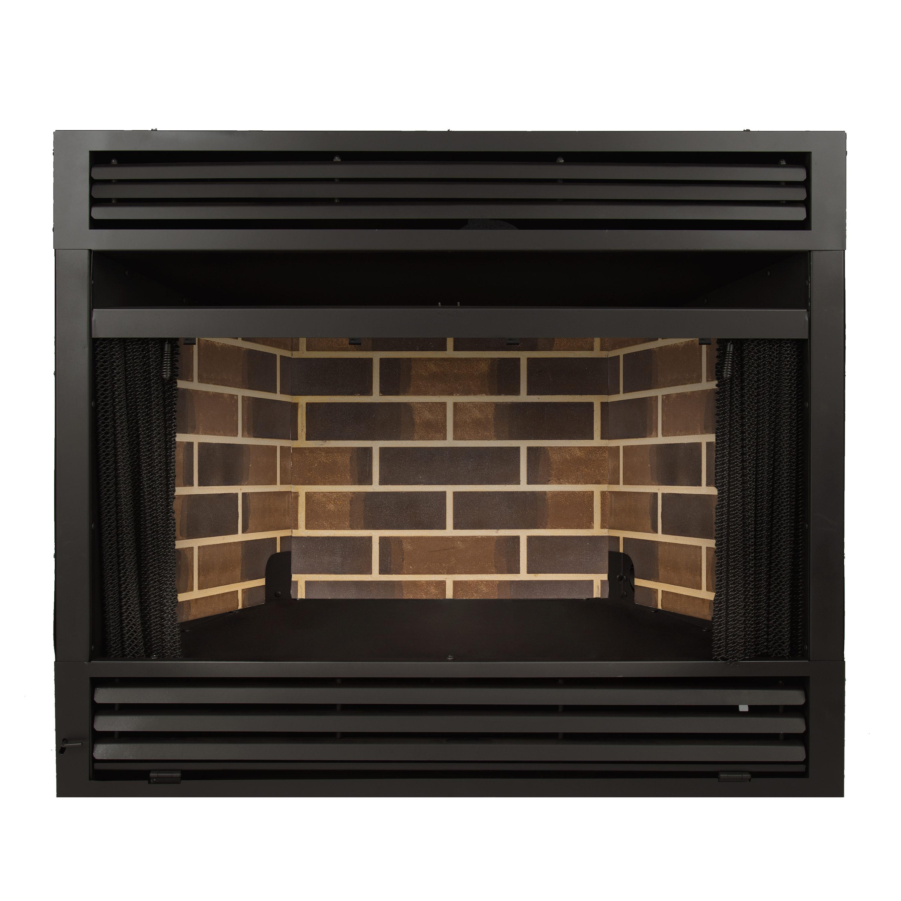 Black 32-Inch Vent-Free Dual Fuel Fireplace Insert