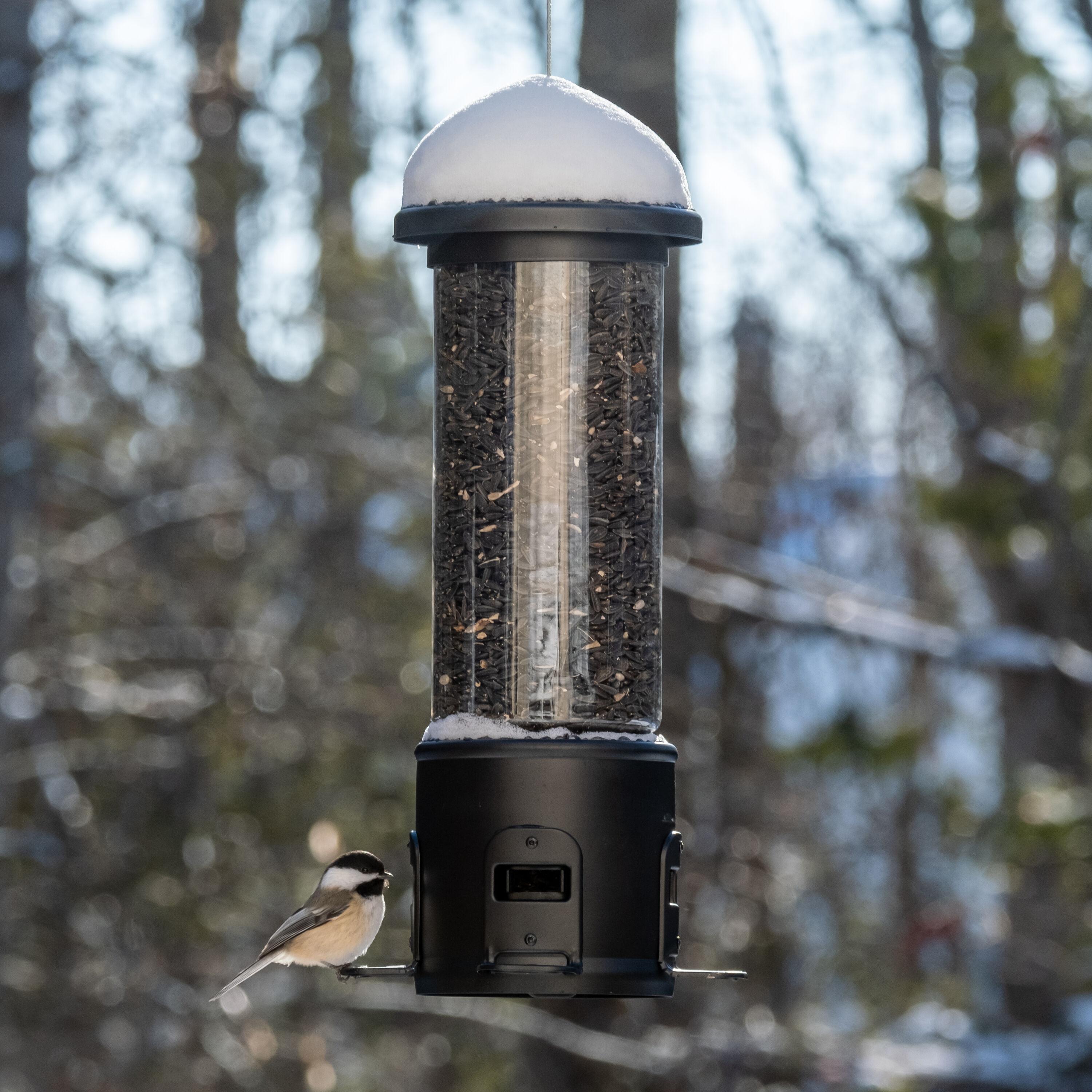 Nature's Way Bird Products 3.1qt Squirrel Shield Metal Feeder 17.25"
