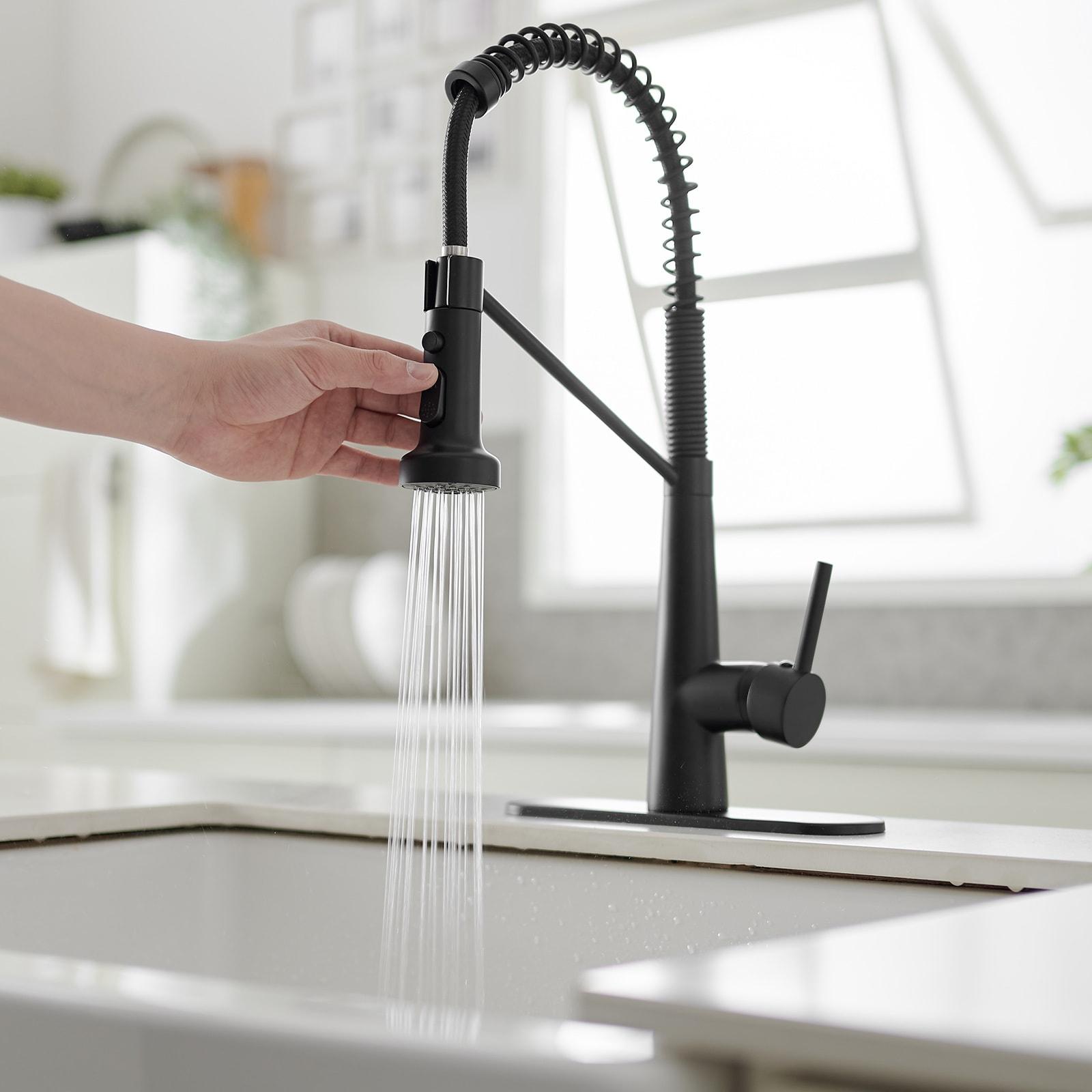 Single-Handle Pull-Down Sprayer 2 Spray High Arc Kitchen Faucet With Deck Plate