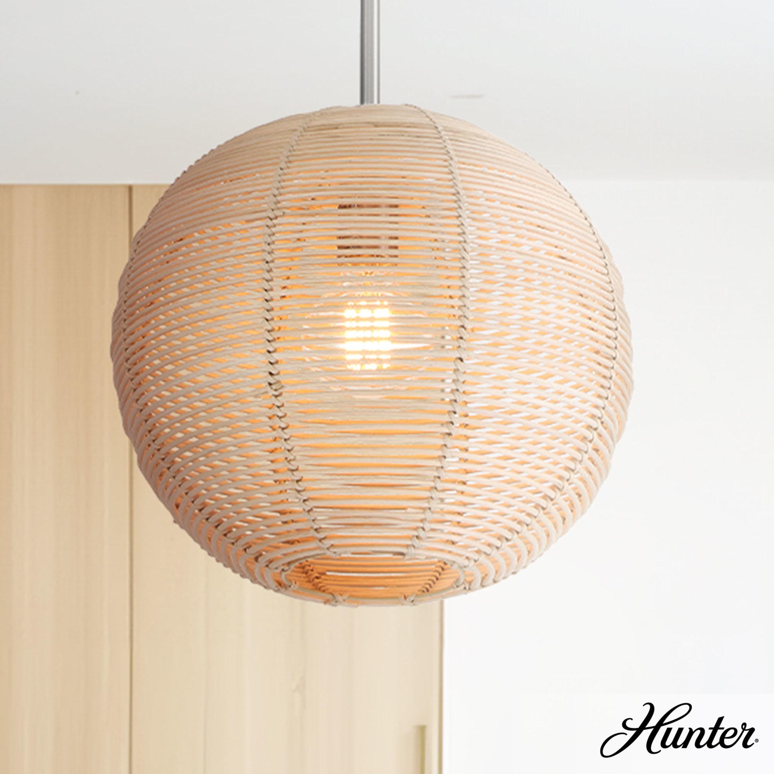 Hunter Berkeley 1 Light Medium Pendant Ceiling Light Fixture