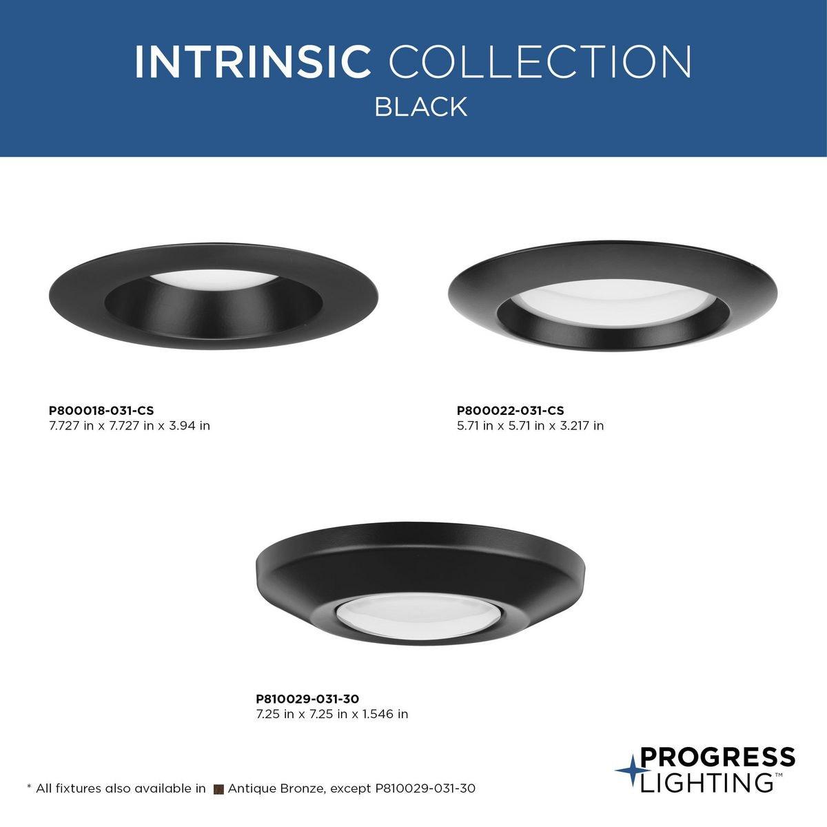 Progress Lighting, Intrinsic Collection, 1-Light, Surface Mount, Black, Eyeball Downlight