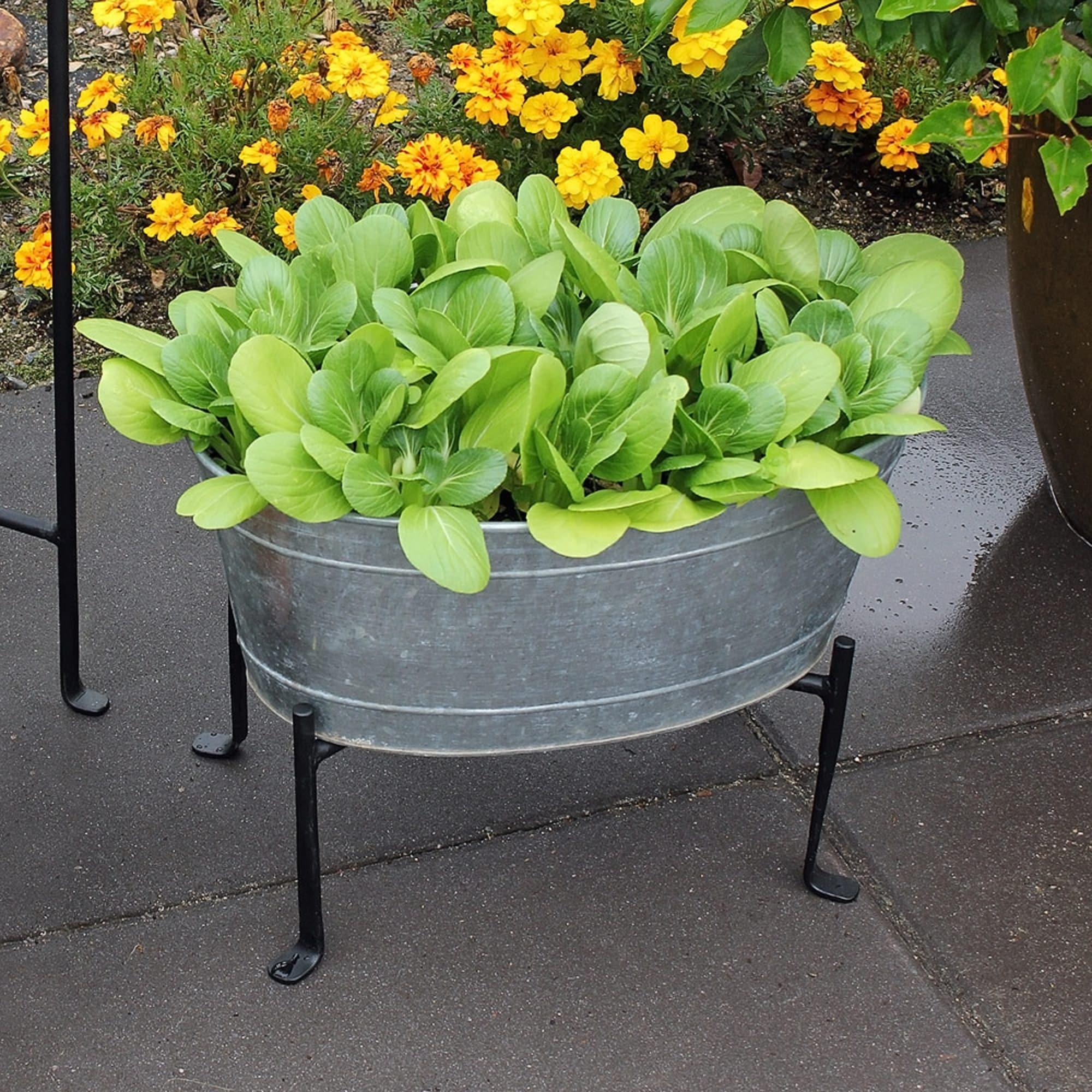 Small Oval Galvanized Tub