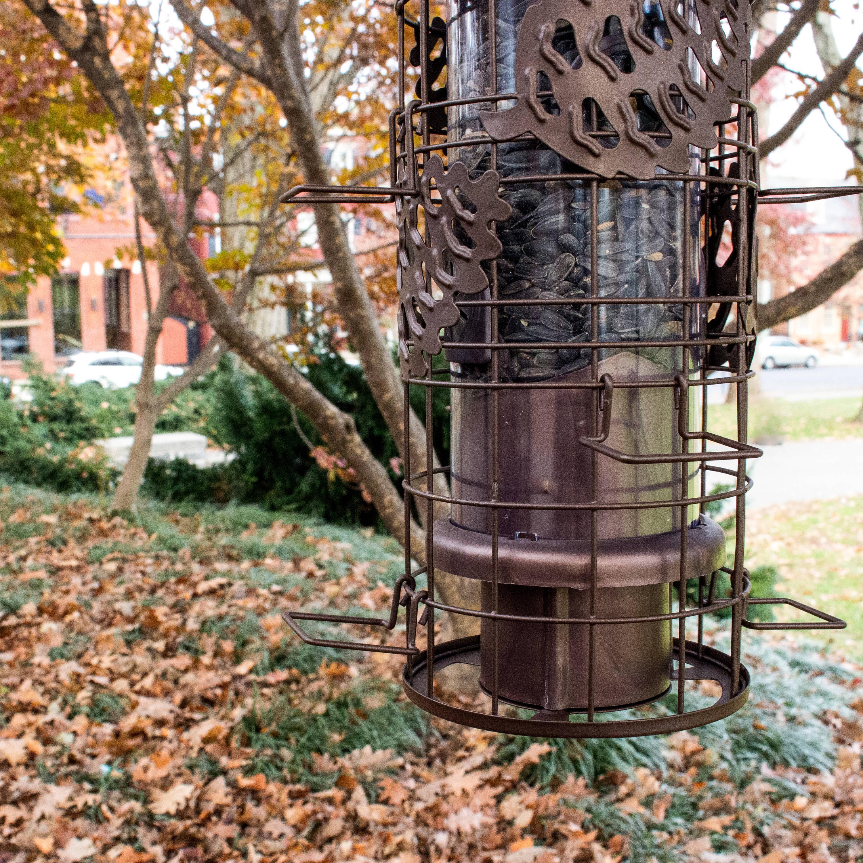 Rustic Brown Metal Hanging Squirrel-Resistant Bird Feeder