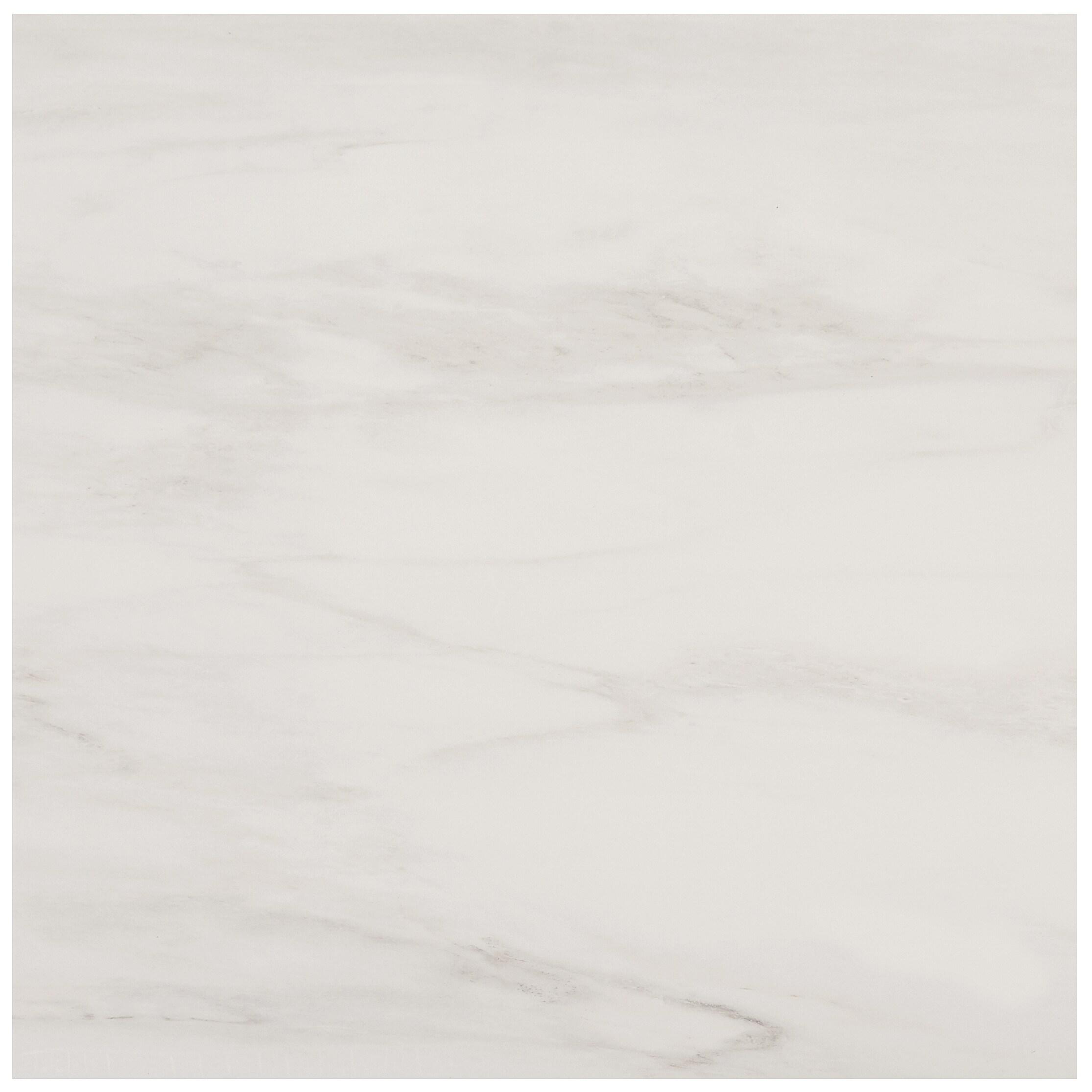 24" x 24" Polished Marble Look Porcelain Floor and Wall Tile (15.5 Sq. Ft. / Case)