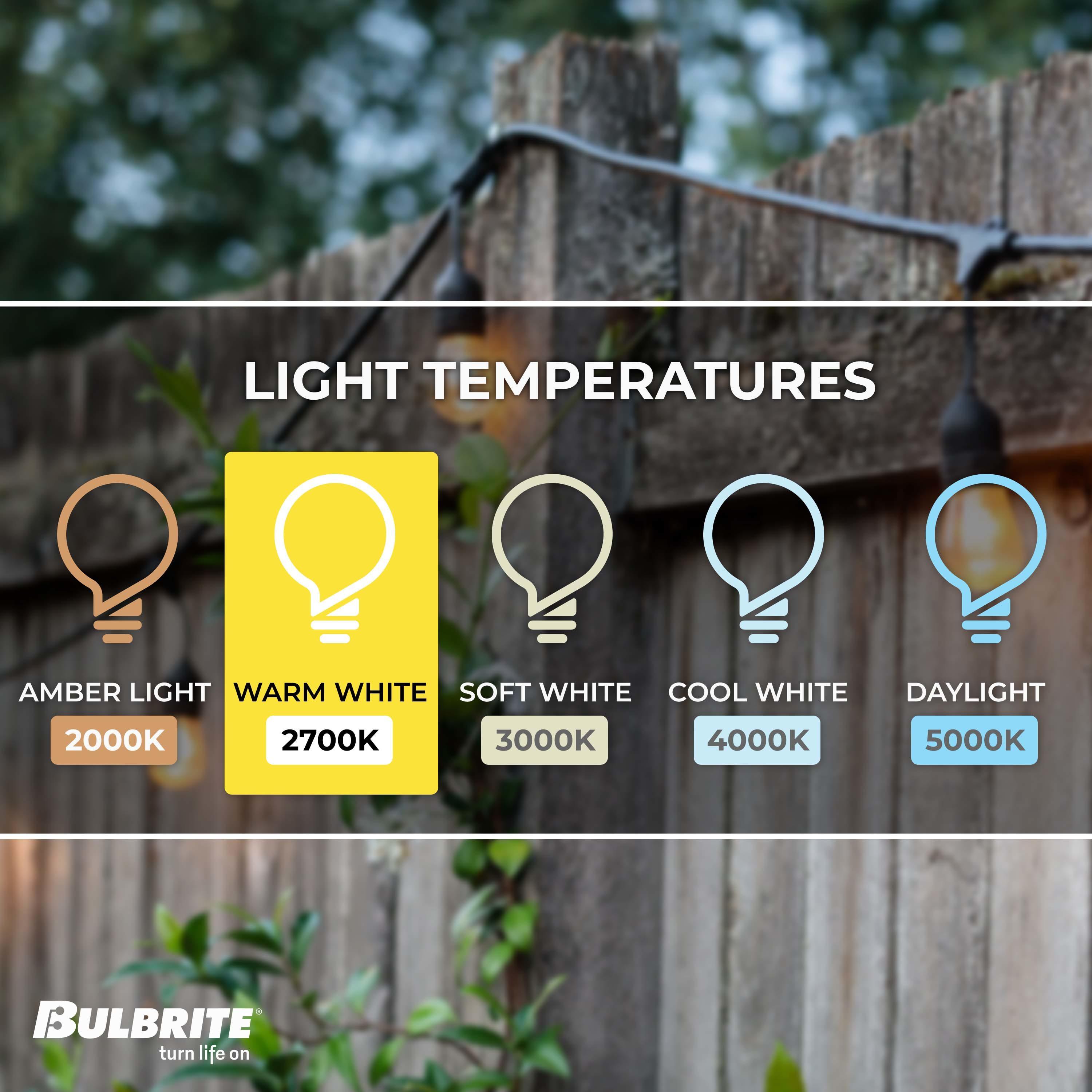 Bulbrite  14-foot Indoor/Outdoor String Light Kit with Clear Shatter Resistant Vintage Style S14 LED Light Bulbs