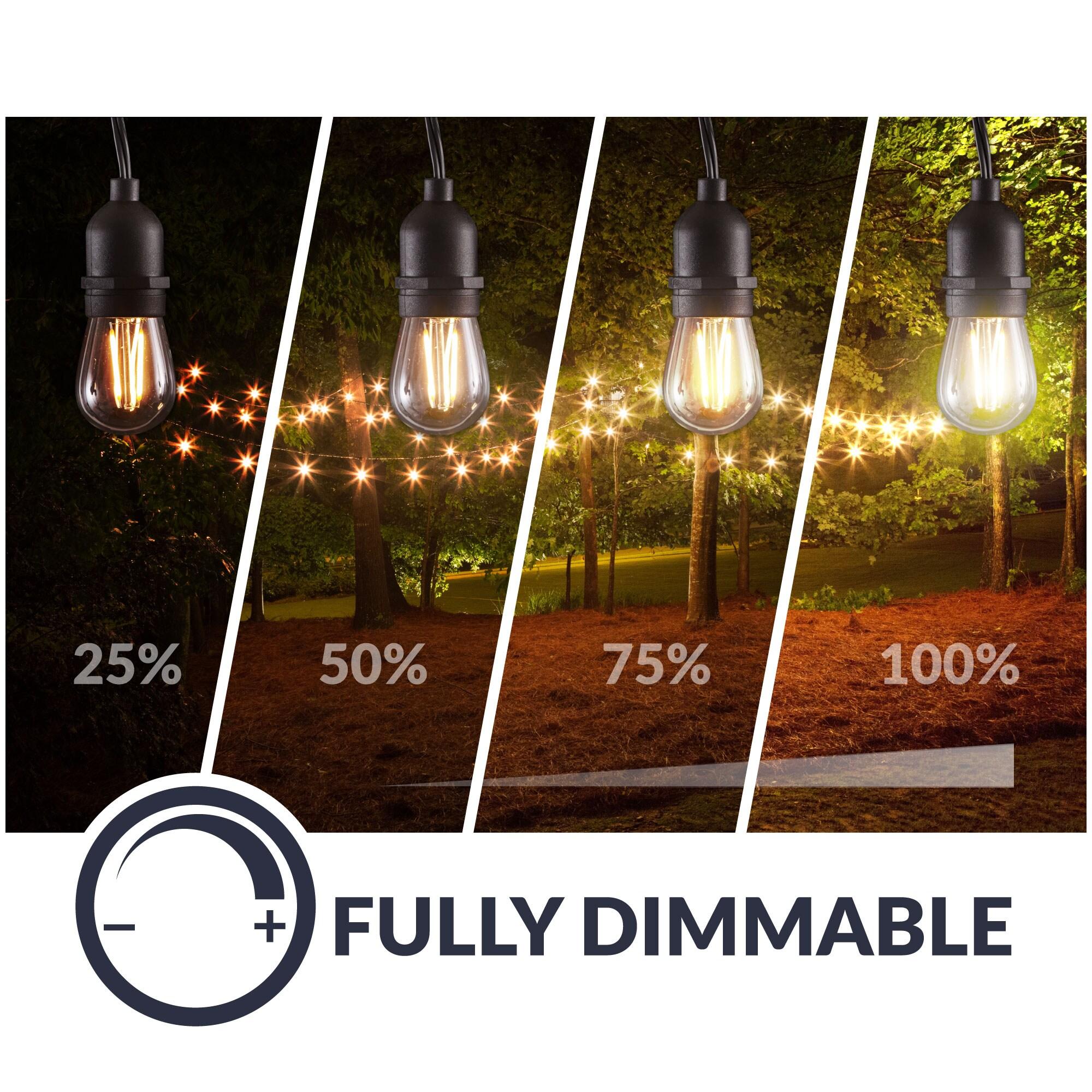 Newhouse Lighting LED String Lights with Weatherproof Technology, Dimmable with Wireless Remote Control, 48ft and 16 (15+1 free) LED Light Bulbs Included, Black (CSTRINGLEDDIM)